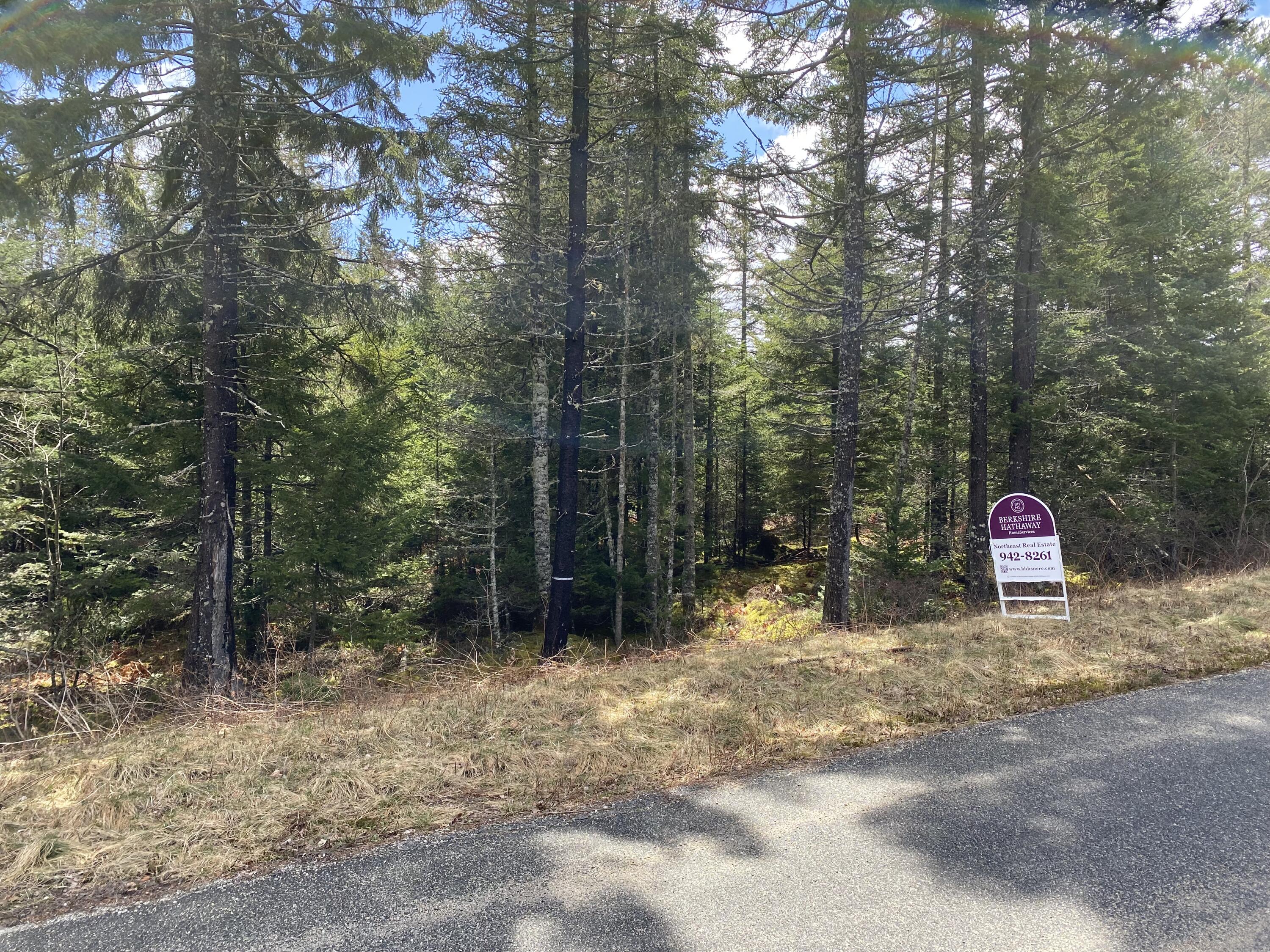 12 Sandpiper Shores Road Gouldsboro, ME 04607 - Photo 12 of 12 Lot