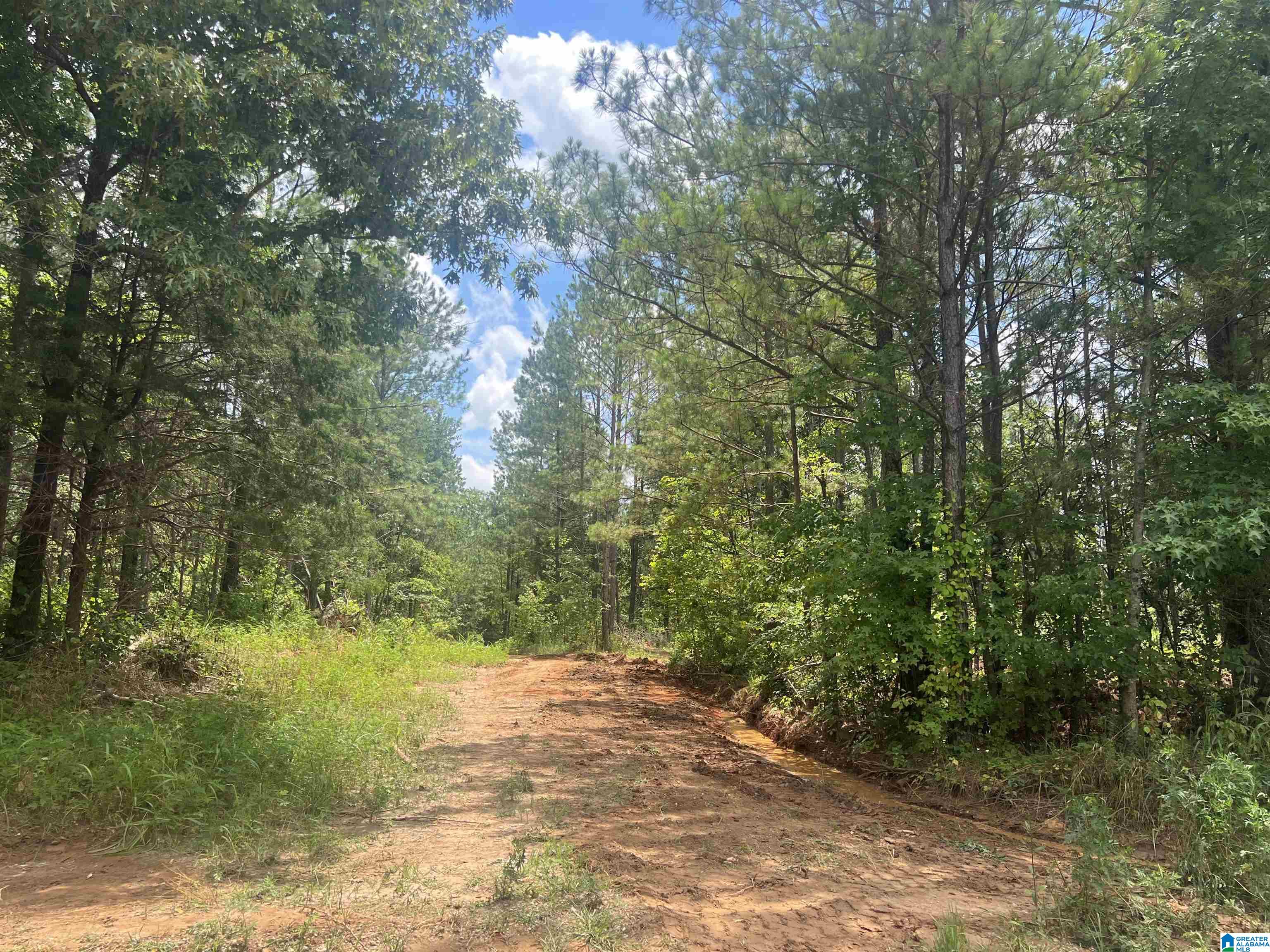 0 County Road 689, Unit 1 Ranburne, AL 36273 - Photo 5 of 69