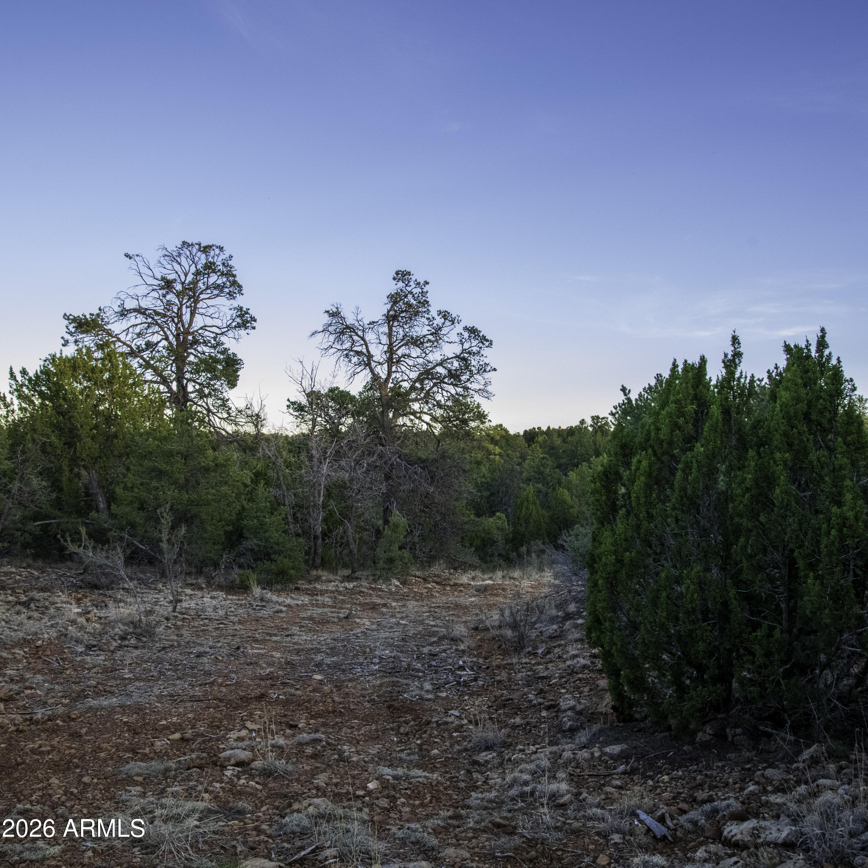 3633 Sunset Ridge Loop, Unit 166 Happy Jack, AZ 86024 - Photo 13 of 76 _8508266
