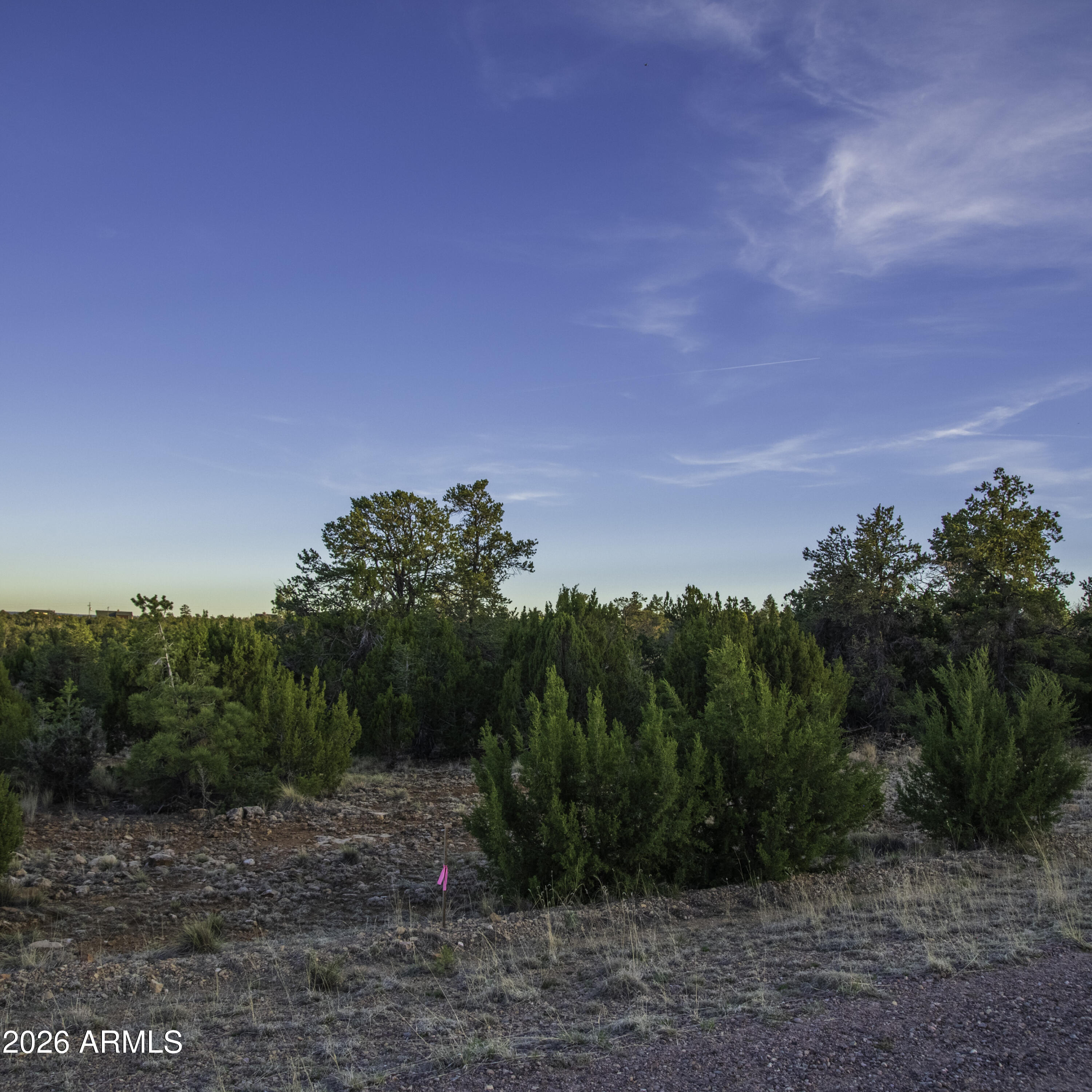 3633 Sunset Ridge Loop, Unit 166 Happy Jack, AZ 86024 - Photo 16 of 76 _8508275