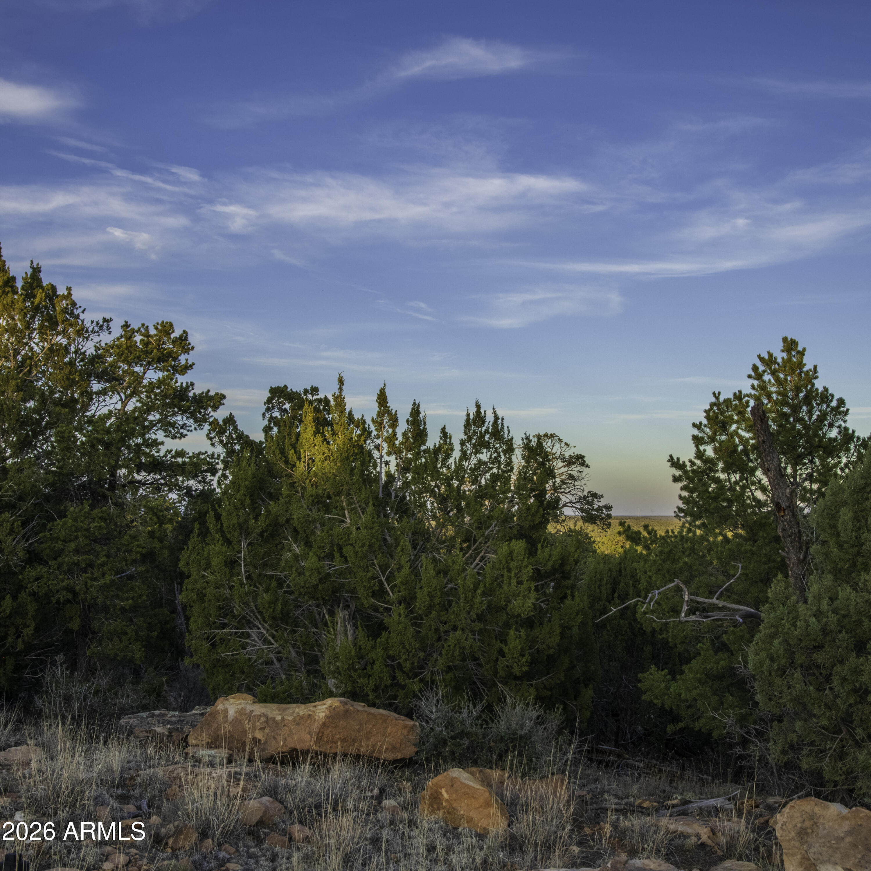 3633 Sunset Ridge Loop, Unit 166 Happy Jack, AZ 86024 - Photo 19 of 76 _8508284