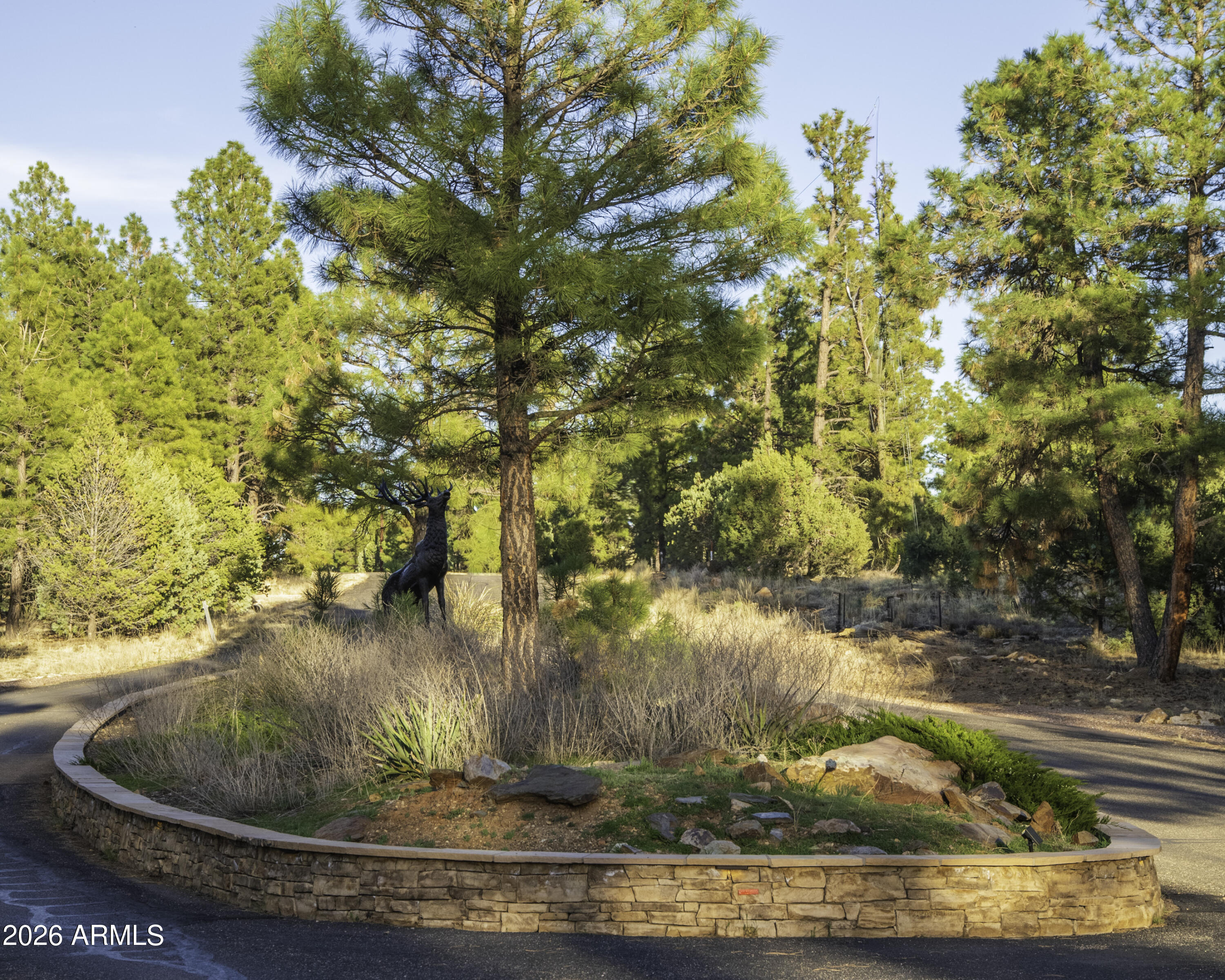 3633 Sunset Ridge Loop, Unit 166 Happy Jack, AZ 86024 - Photo 2 of 76 "Circle Drive" Entrance