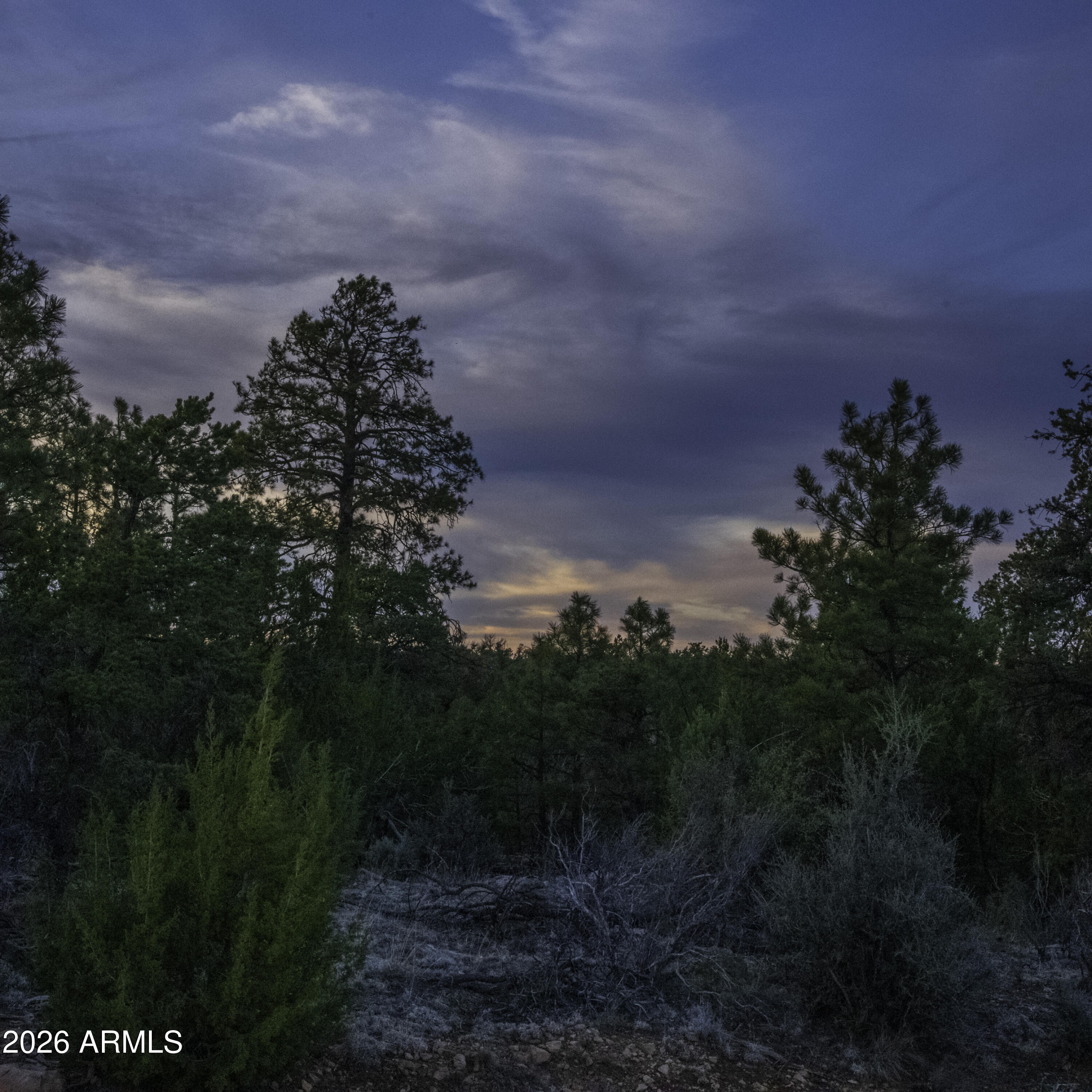 3633 Sunset Ridge Loop, Unit 166 Happy Jack, AZ 86024 - Photo 23 of 76 _8508299