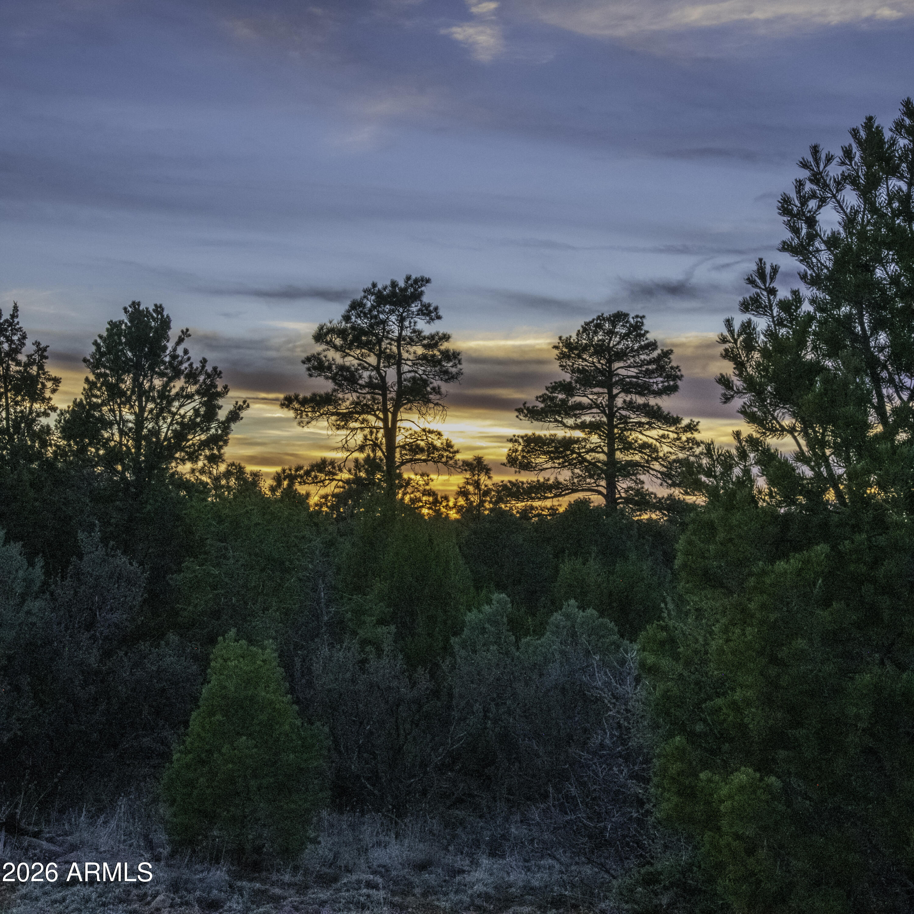 3633 Sunset Ridge Loop, Unit 166 Happy Jack, AZ 86024 - Photo 26 of 76 _8508317