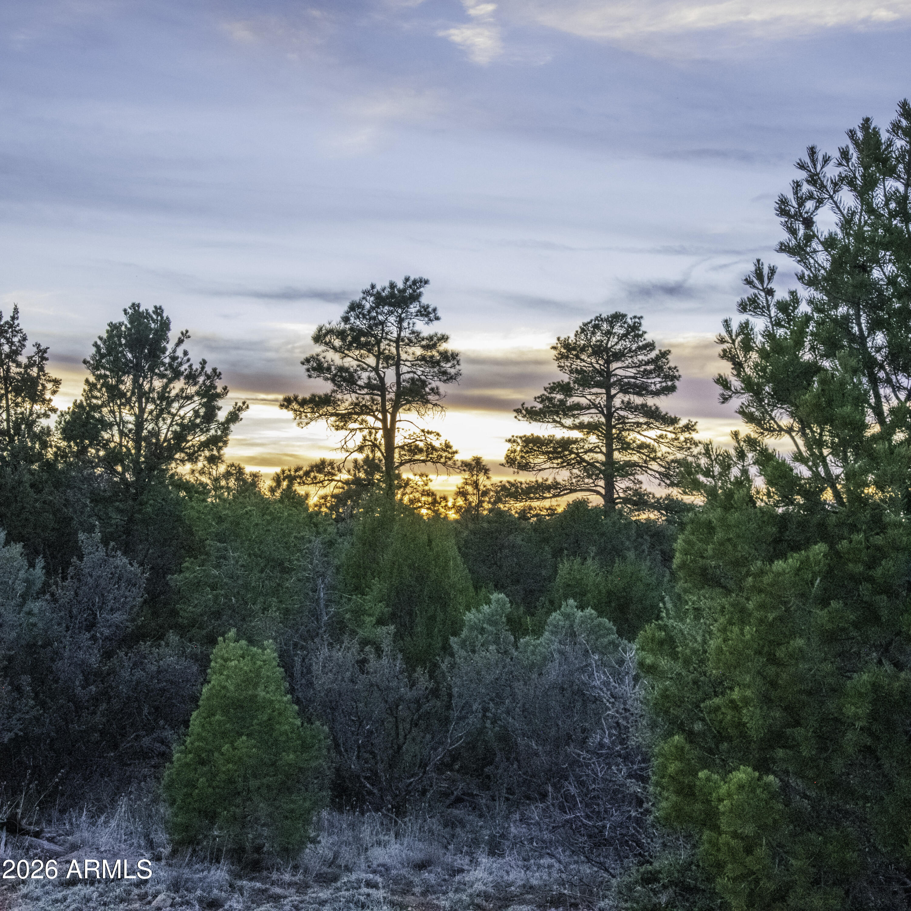 3633 Sunset Ridge Loop, Unit 166 Happy Jack, AZ 86024 - Photo 27 of 76 _8508319