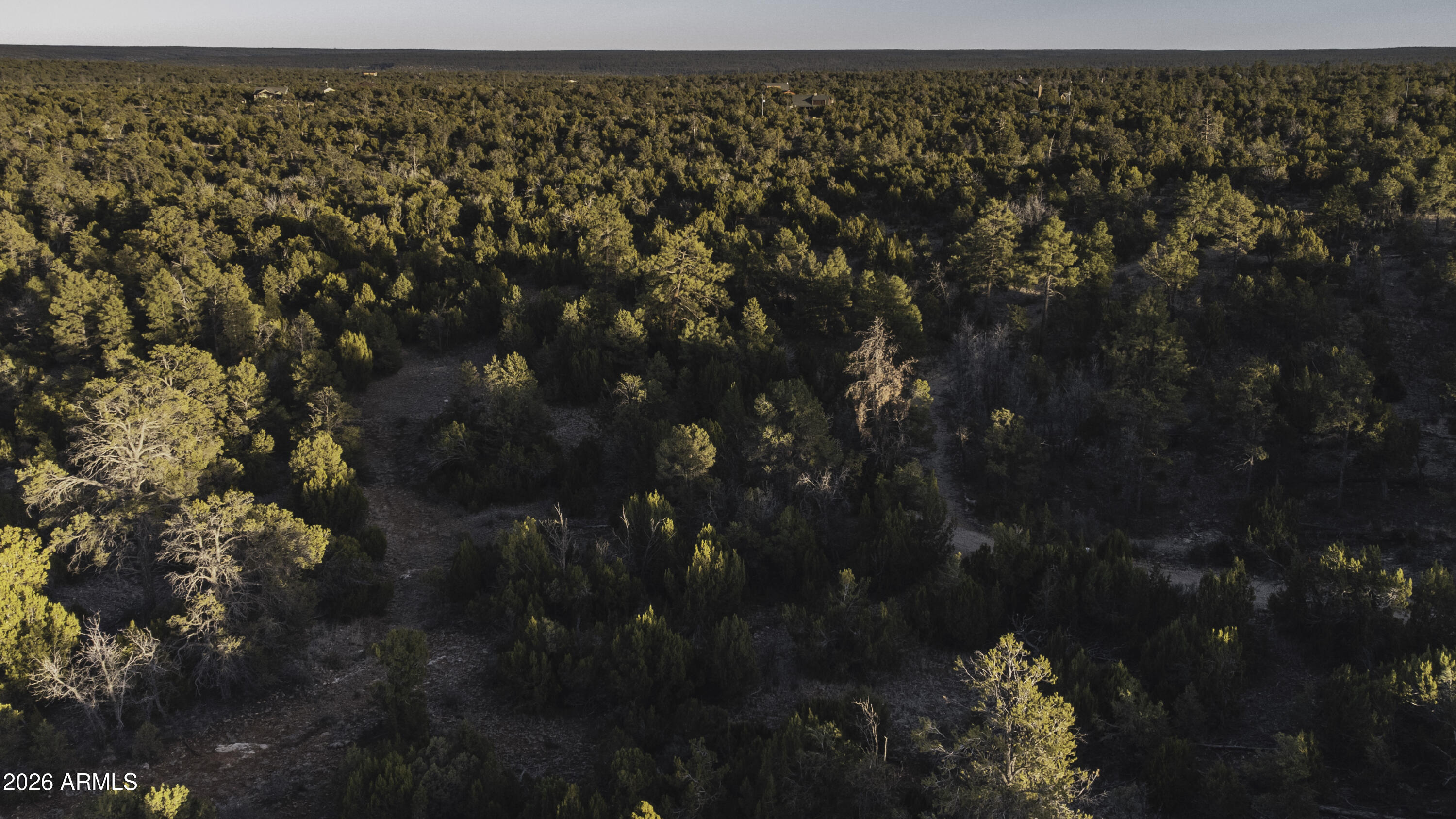 3633 Sunset Ridge Loop, Unit 166 Happy Jack, AZ 86024 - Photo 29 of 76 DJI_0441
