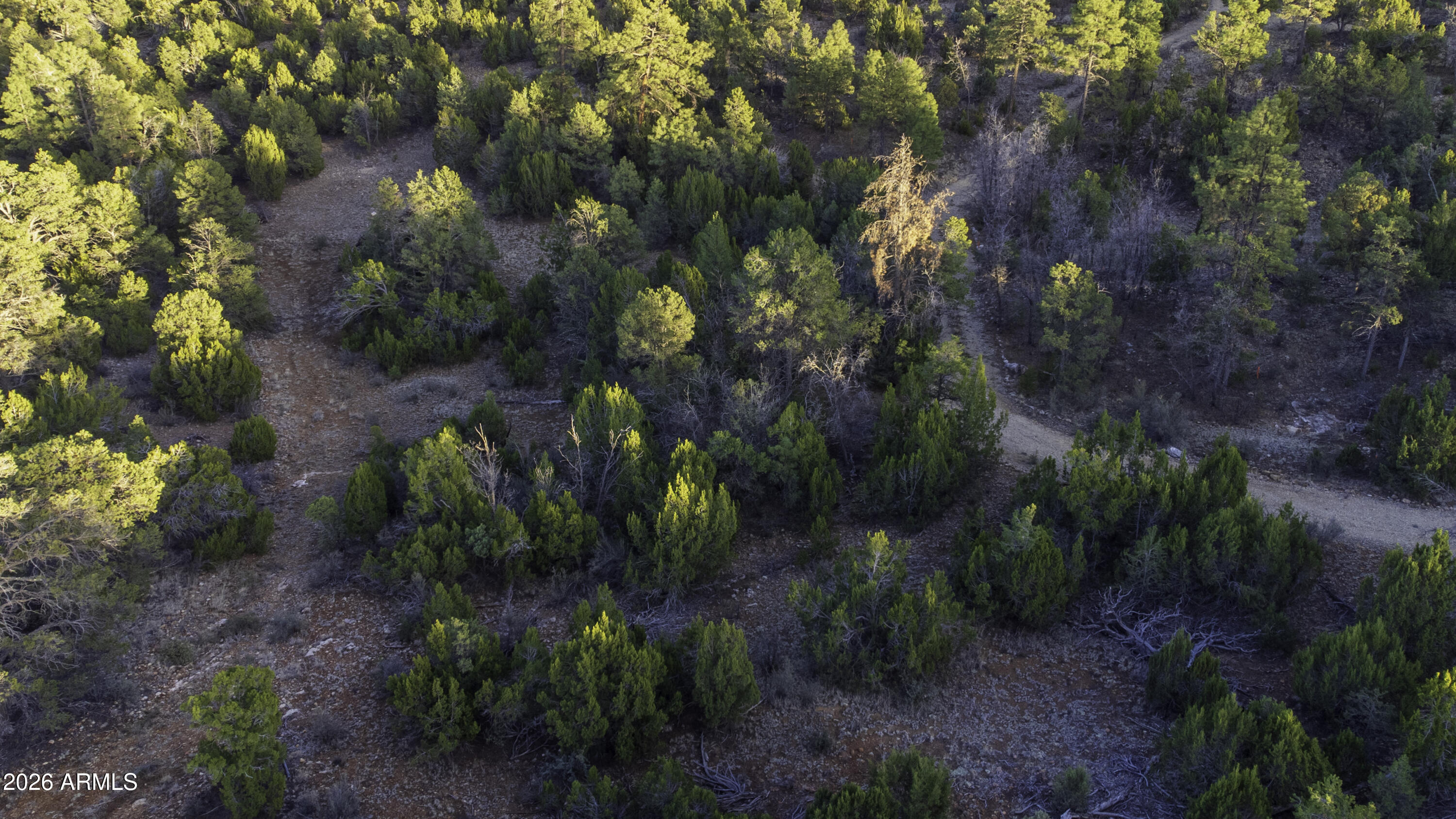 3633 Sunset Ridge Loop, Unit 166 Happy Jack, AZ 86024 - Photo 30 of 76 DJI_0442