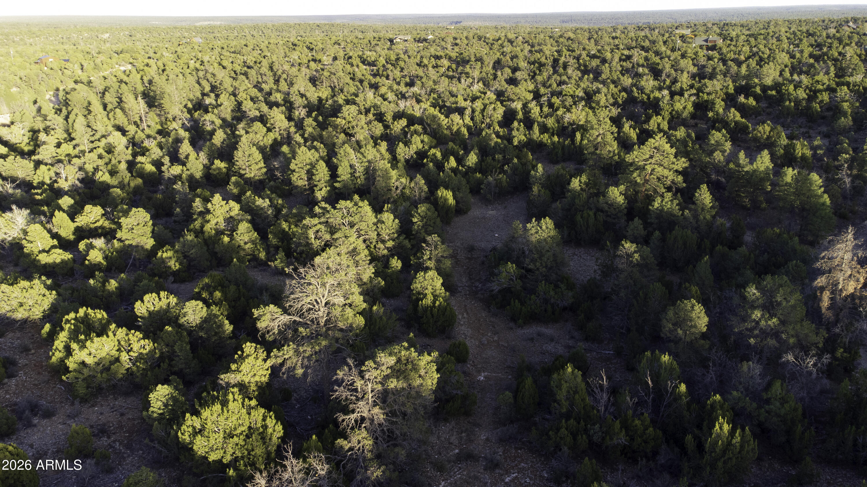 3633 Sunset Ridge Loop, Unit 166 Happy Jack, AZ 86024 - Photo 31 of 76 DJI_0443