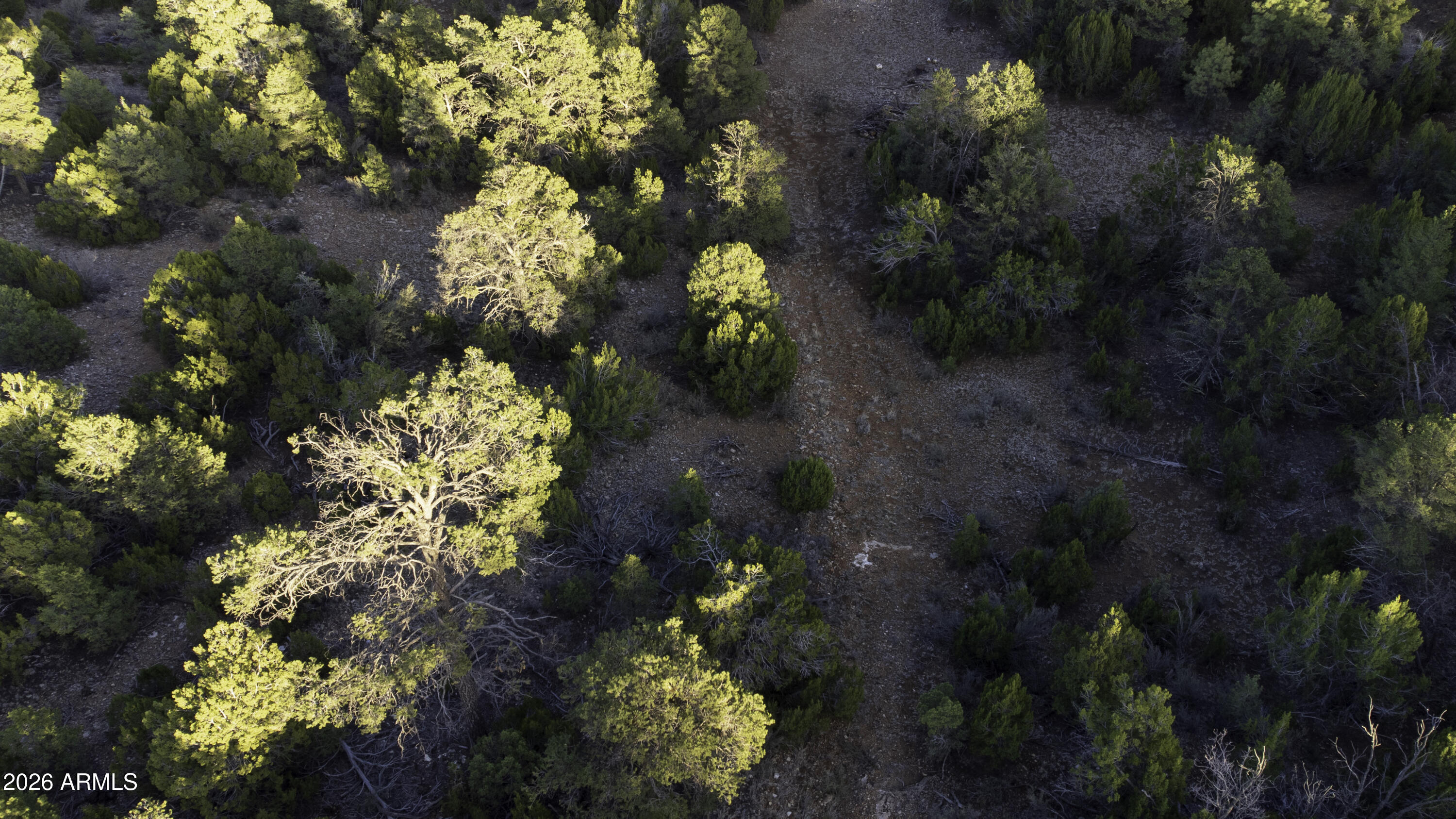 3633 Sunset Ridge Loop, Unit 166 Happy Jack, AZ 86024 - Photo 32 of 76 DJI_0444