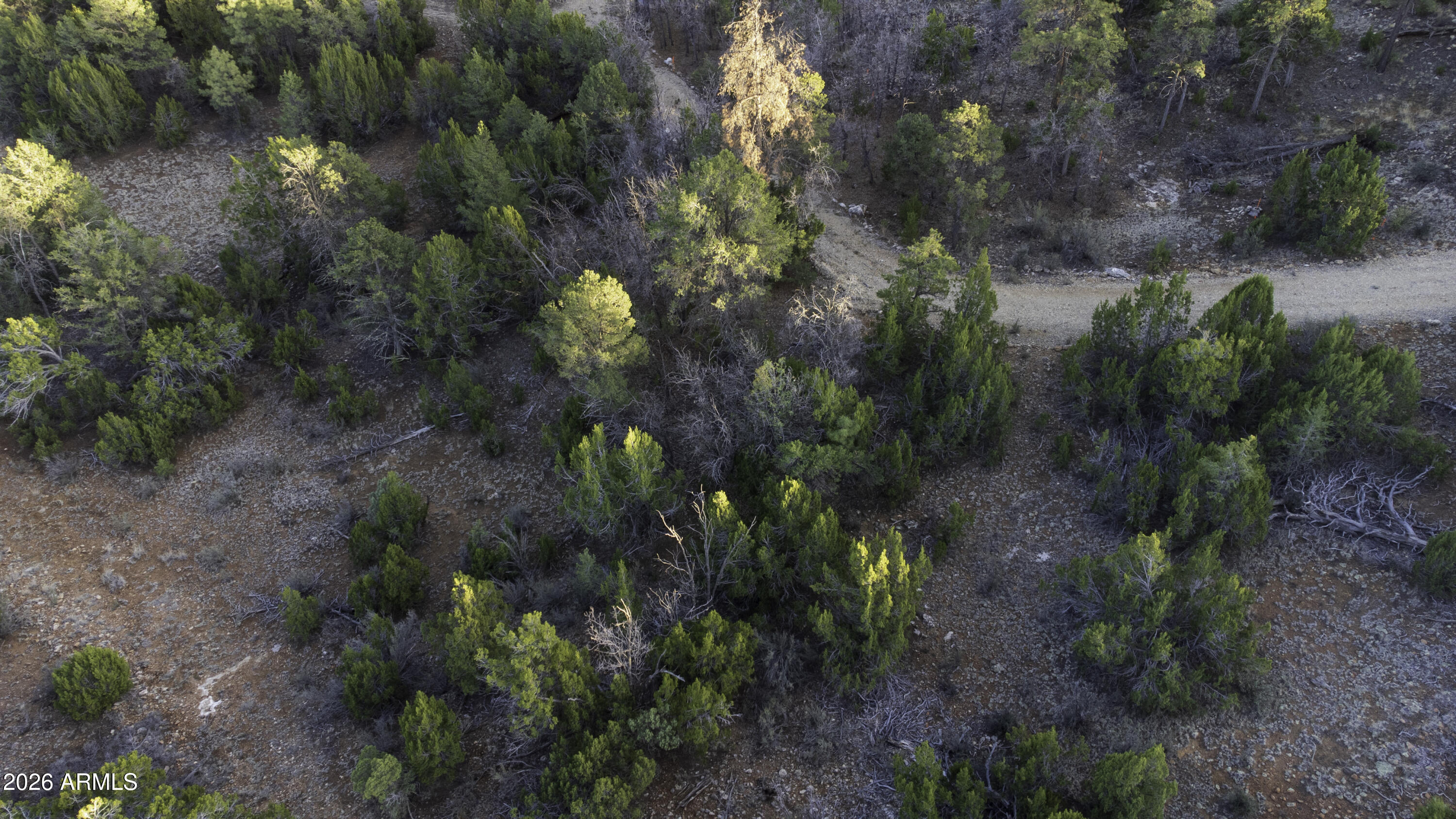 3633 Sunset Ridge Loop, Unit 166 Happy Jack, AZ 86024 - Photo 33 of 76 DJI_0445
