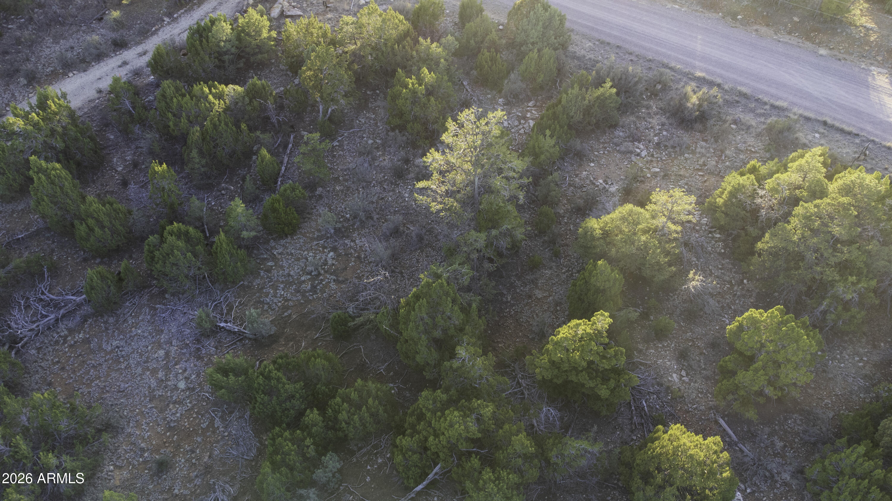 3633 Sunset Ridge Loop, Unit 166 Happy Jack, AZ 86024 - Photo 34 of 76 DJI_0446