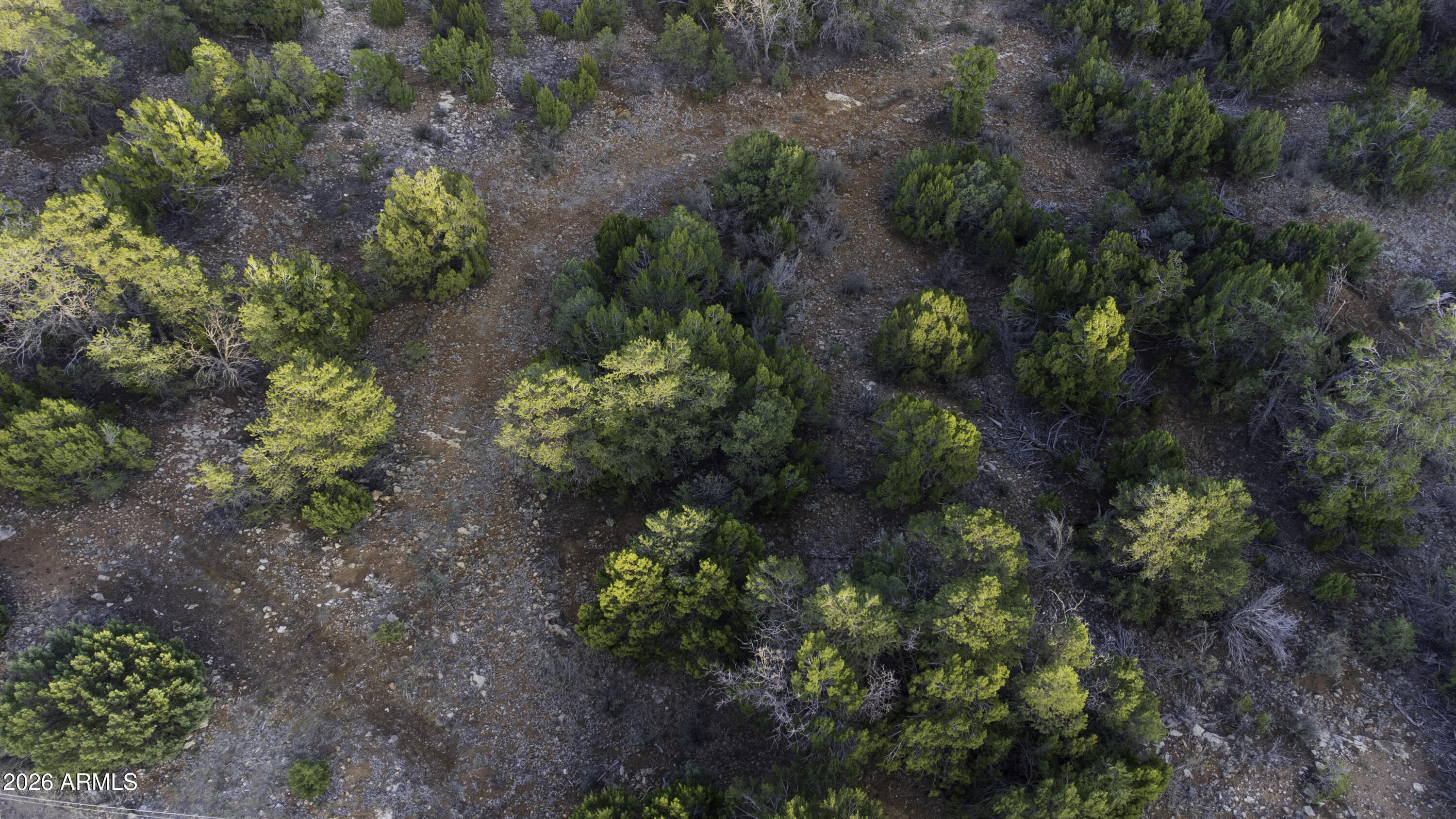 3633 Sunset Ridge Loop, Unit 166 Happy Jack, AZ 86024 - Photo 38 of 76 DJI_0459