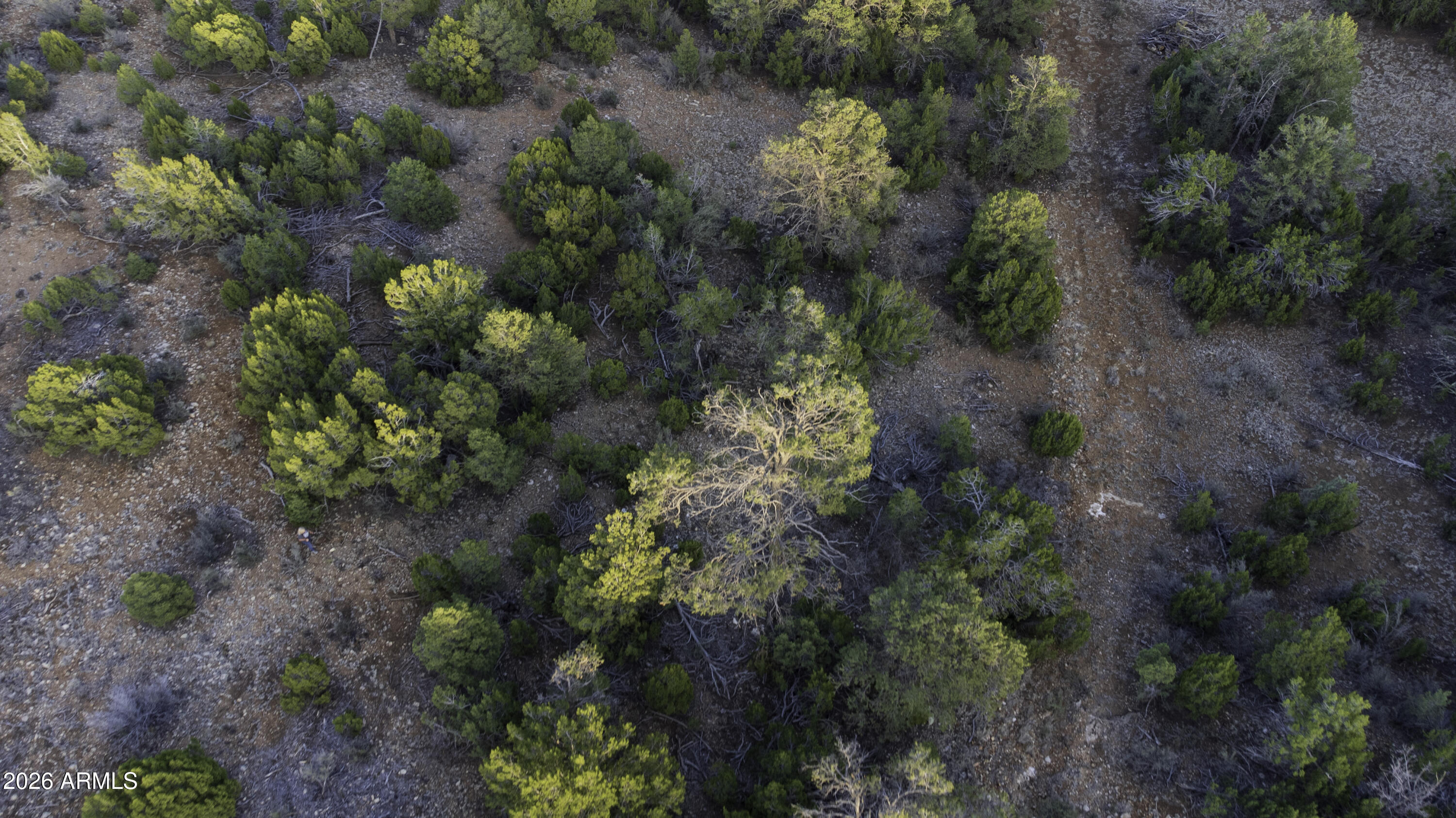 3633 Sunset Ridge Loop, Unit 166 Happy Jack, AZ 86024 - Photo 39 of 76 DJI_0460