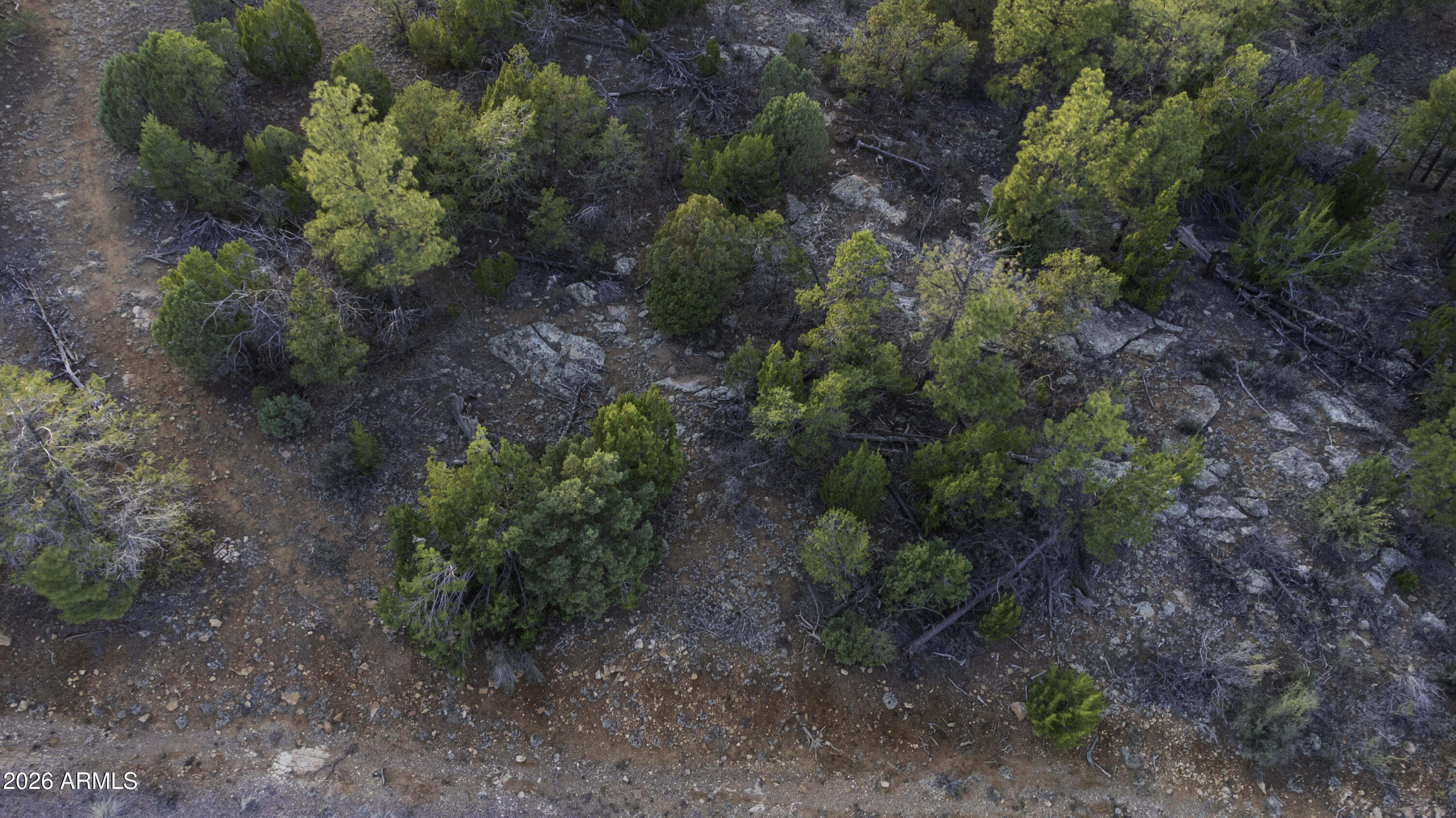3633 Sunset Ridge Loop, Unit 166 Happy Jack, AZ 86024 - Photo 40 of 76 DJI_0461