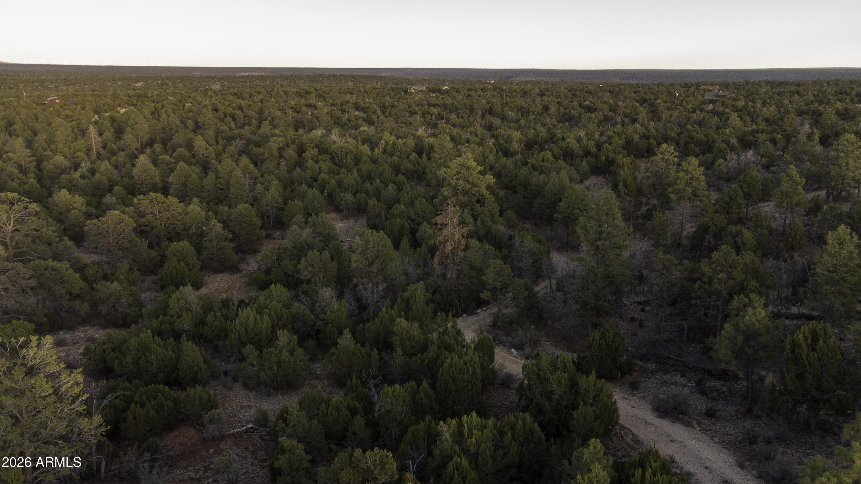 3633 Sunset Ridge Loop, Unit 166 Happy Jack, AZ 86024 - Photo 41 of 76 DJI_0462
