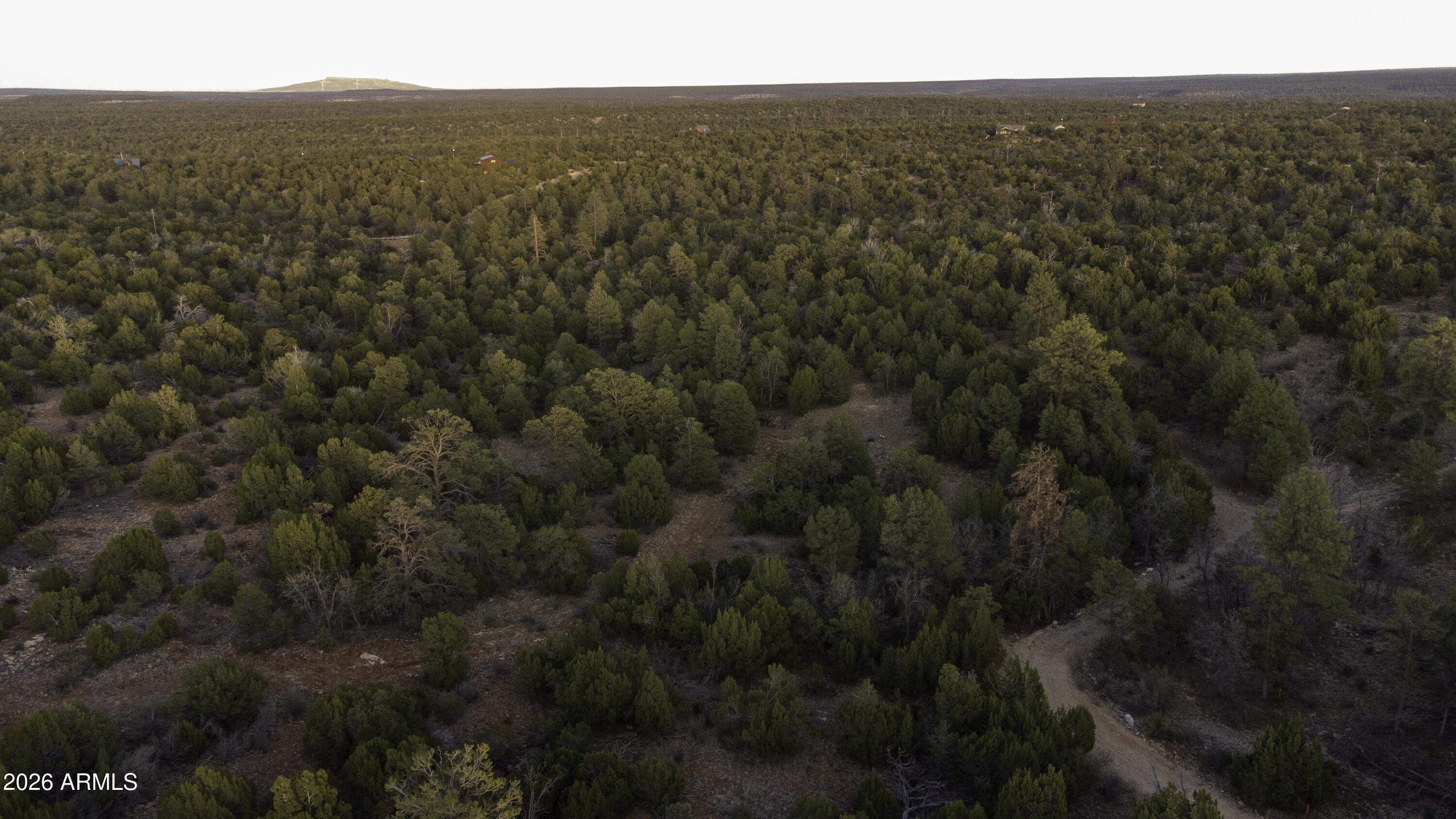 3633 Sunset Ridge Loop, Unit 166 Happy Jack, AZ 86024 - Photo 42 of 76 DJI_0463