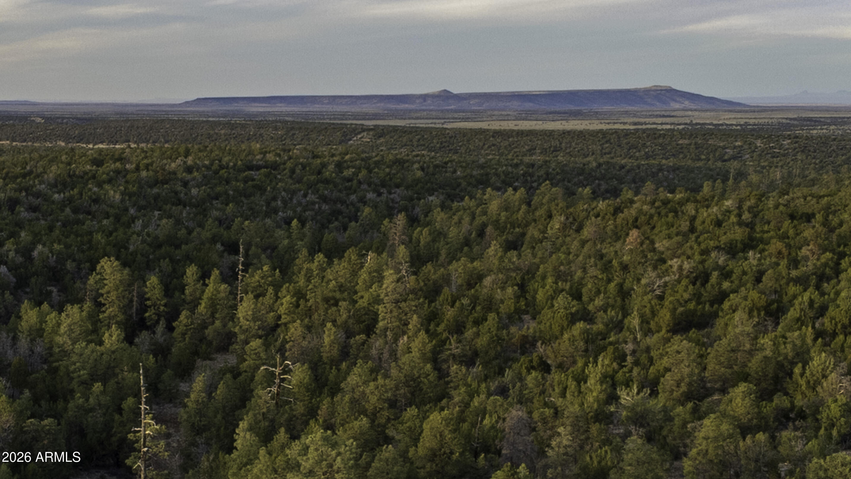 3633 Sunset Ridge Loop, Unit 166 Happy Jack, AZ 86024 - Photo 45 of 76 DJI_0466