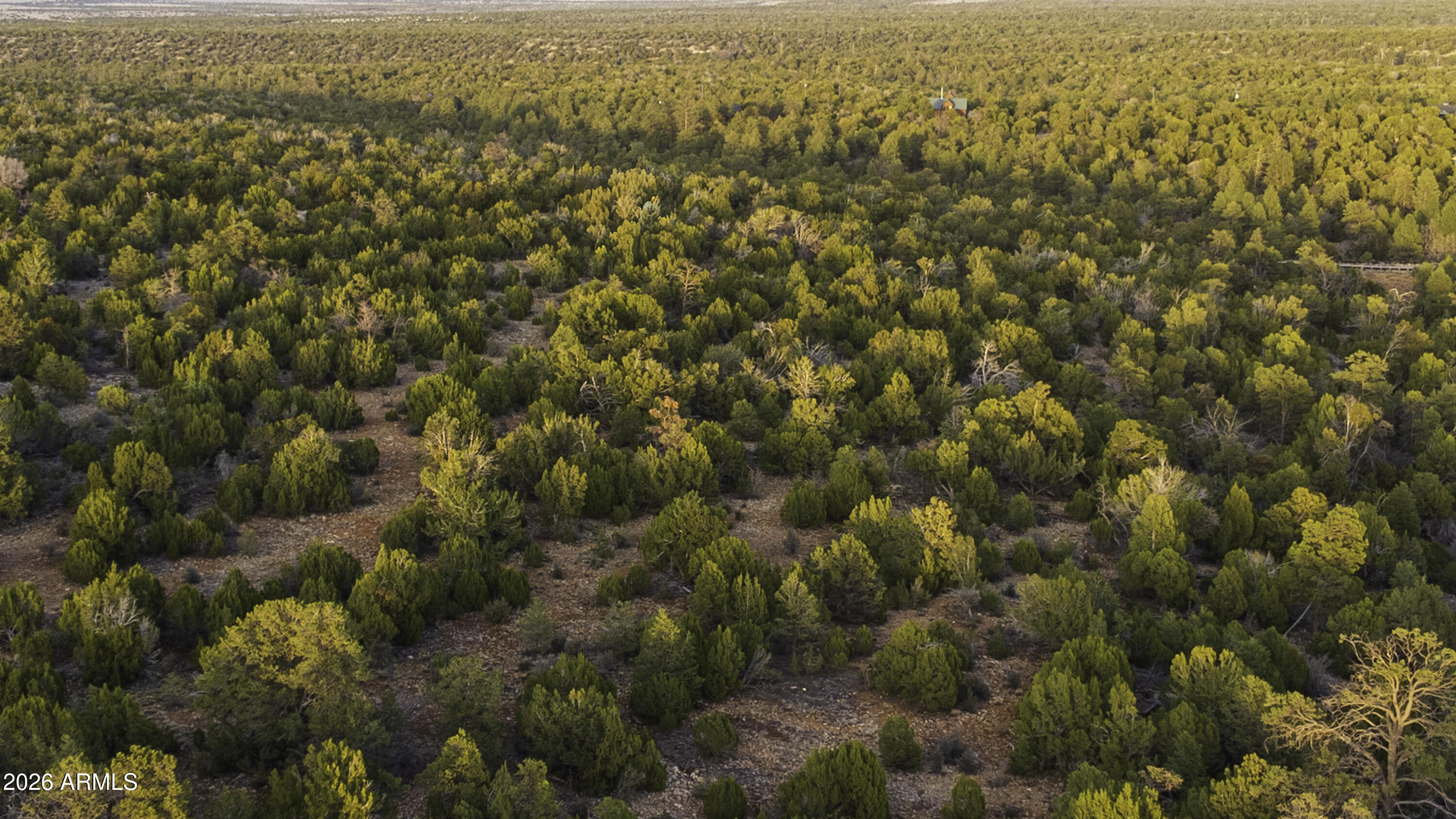 3633 Sunset Ridge Loop, Unit 166 Happy Jack, AZ 86024 - Photo 46 of 76 DJI_0468