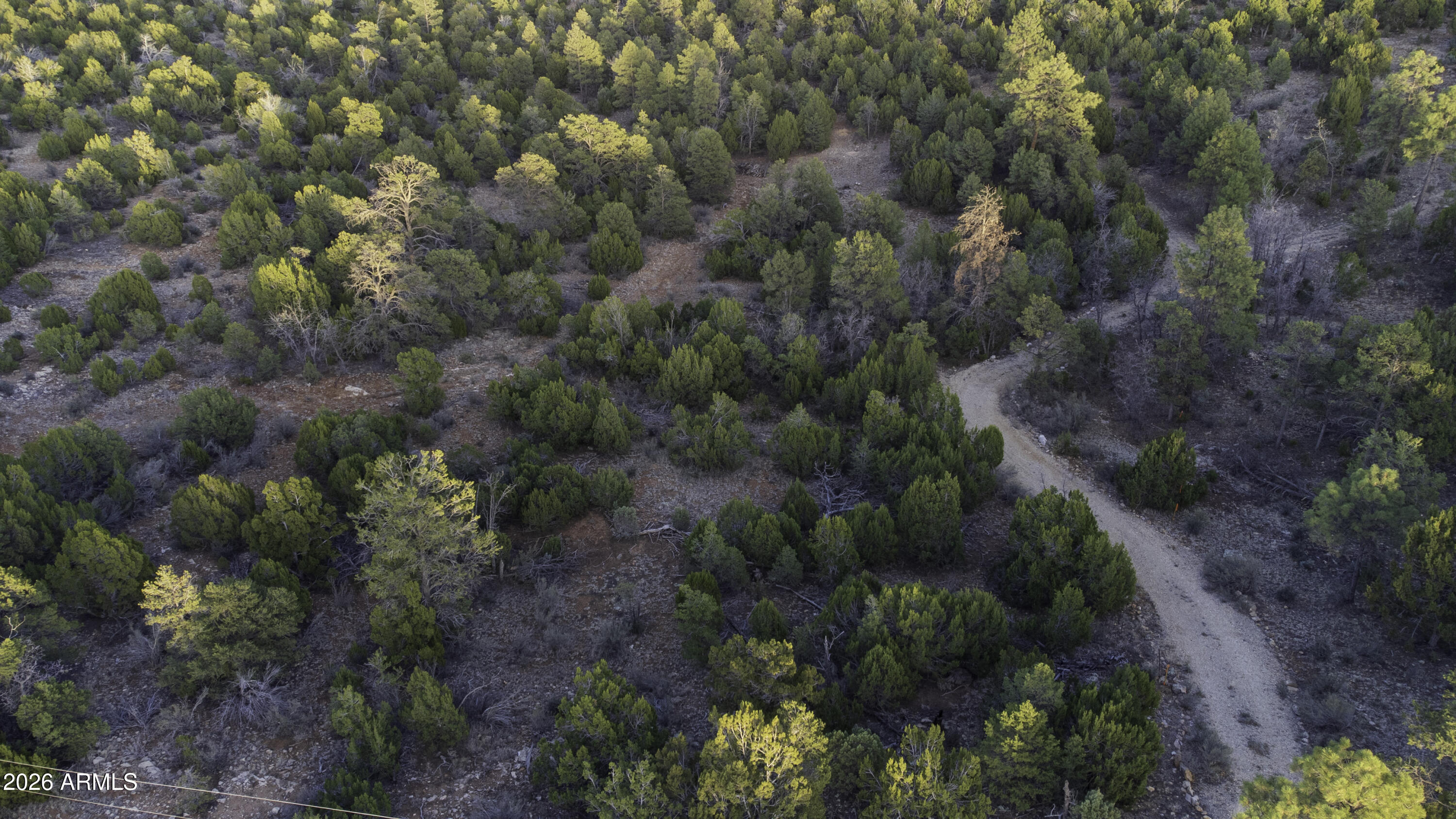 3633 Sunset Ridge Loop, Unit 166 Happy Jack, AZ 86024 - Photo 47 of 76 DJI_0469
