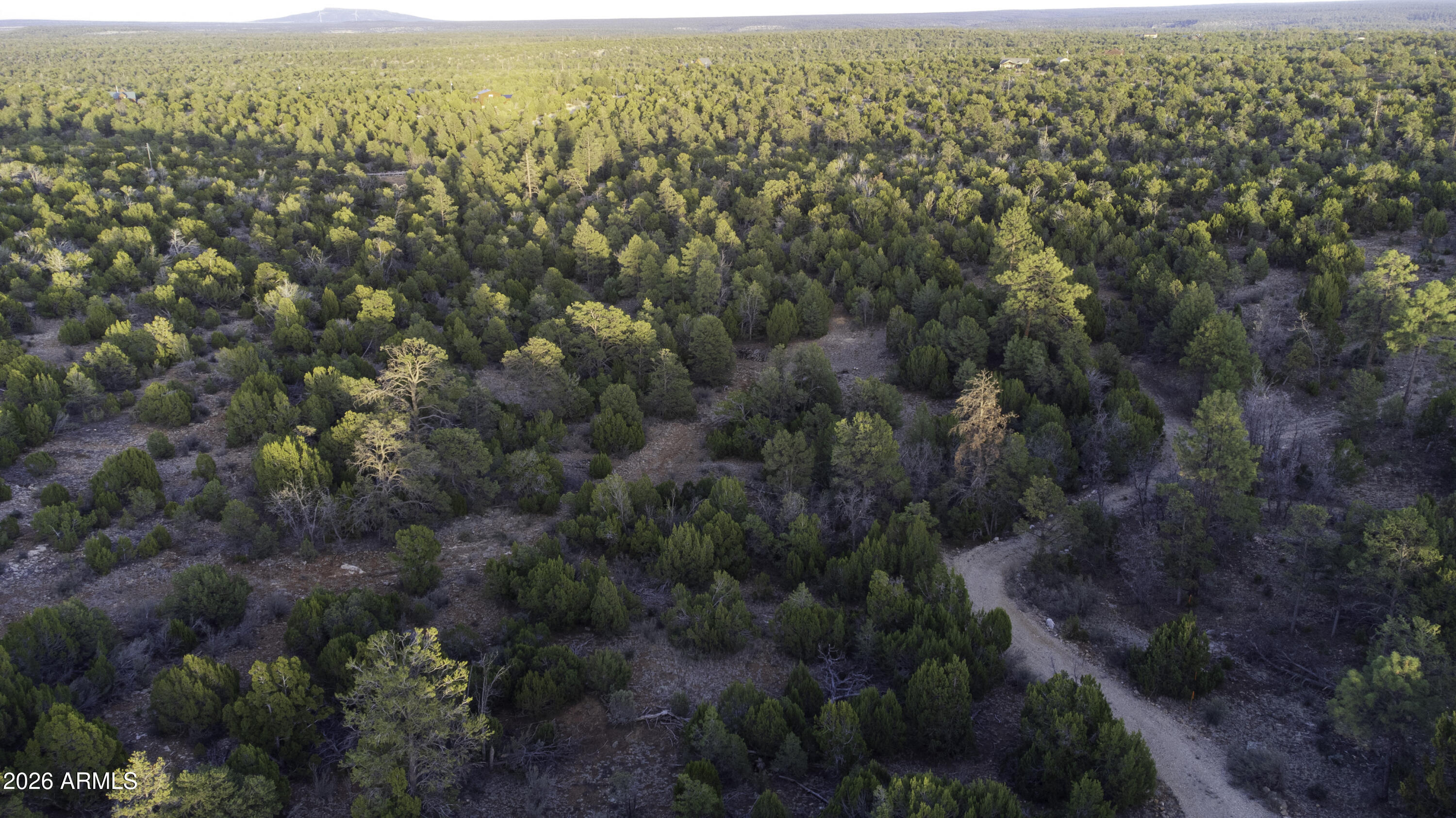 3633 Sunset Ridge Loop, Unit 166 Happy Jack, AZ 86024 - Photo 48 of 76 DJI_0470