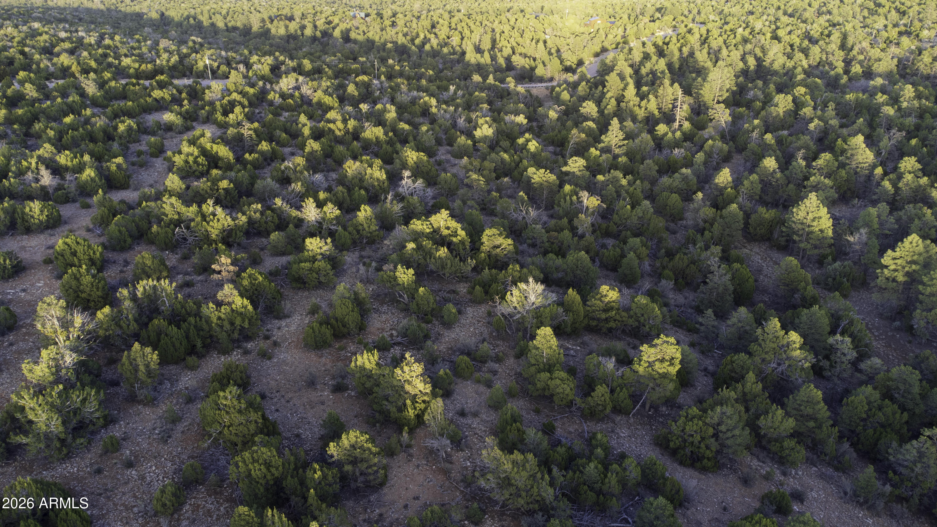 3633 Sunset Ridge Loop, Unit 166 Happy Jack, AZ 86024 - Photo 50 of 76 DJI_0473
