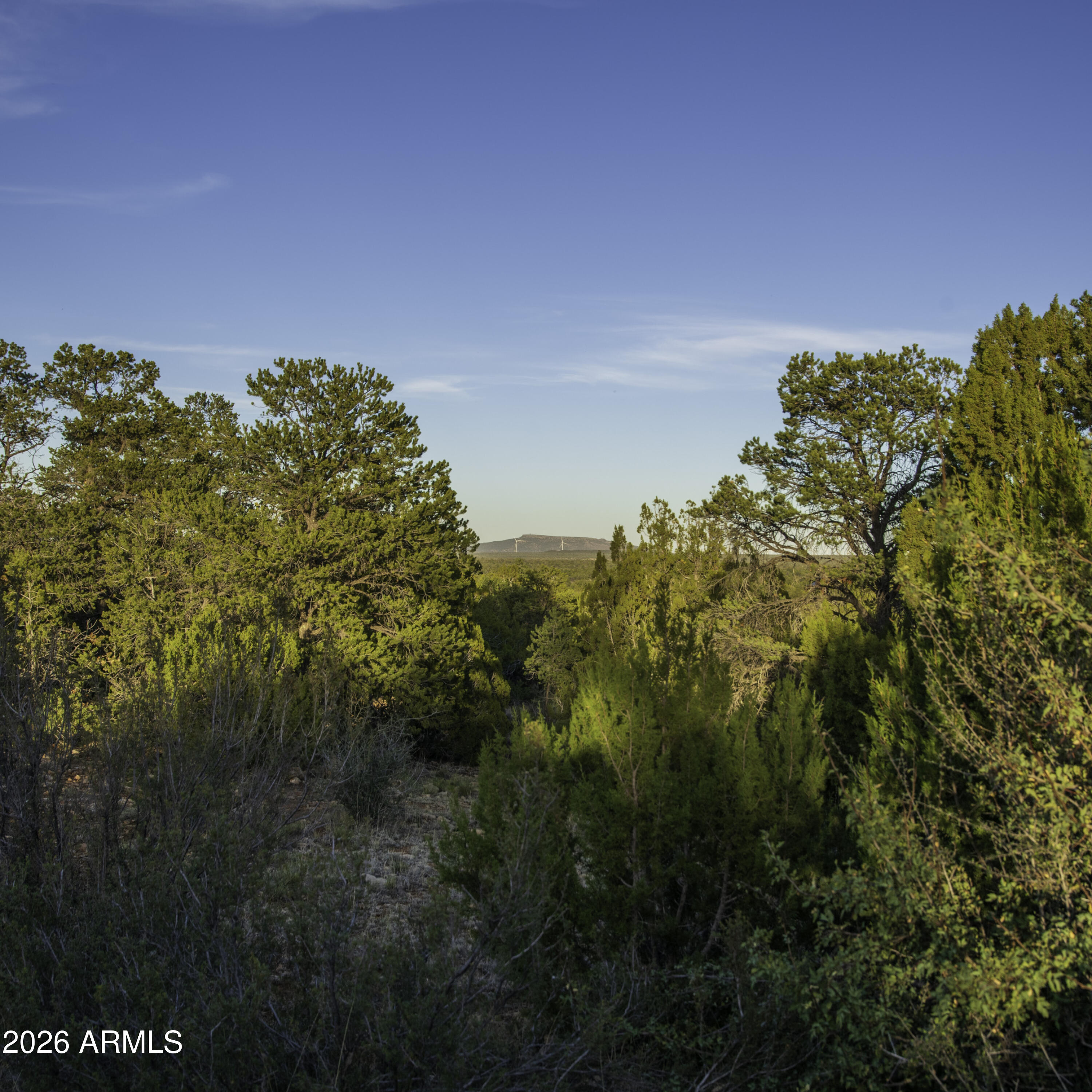 3633 Sunset Ridge Loop, Unit 166 Happy Jack, AZ 86024 - Photo 5 of 76 _8508239