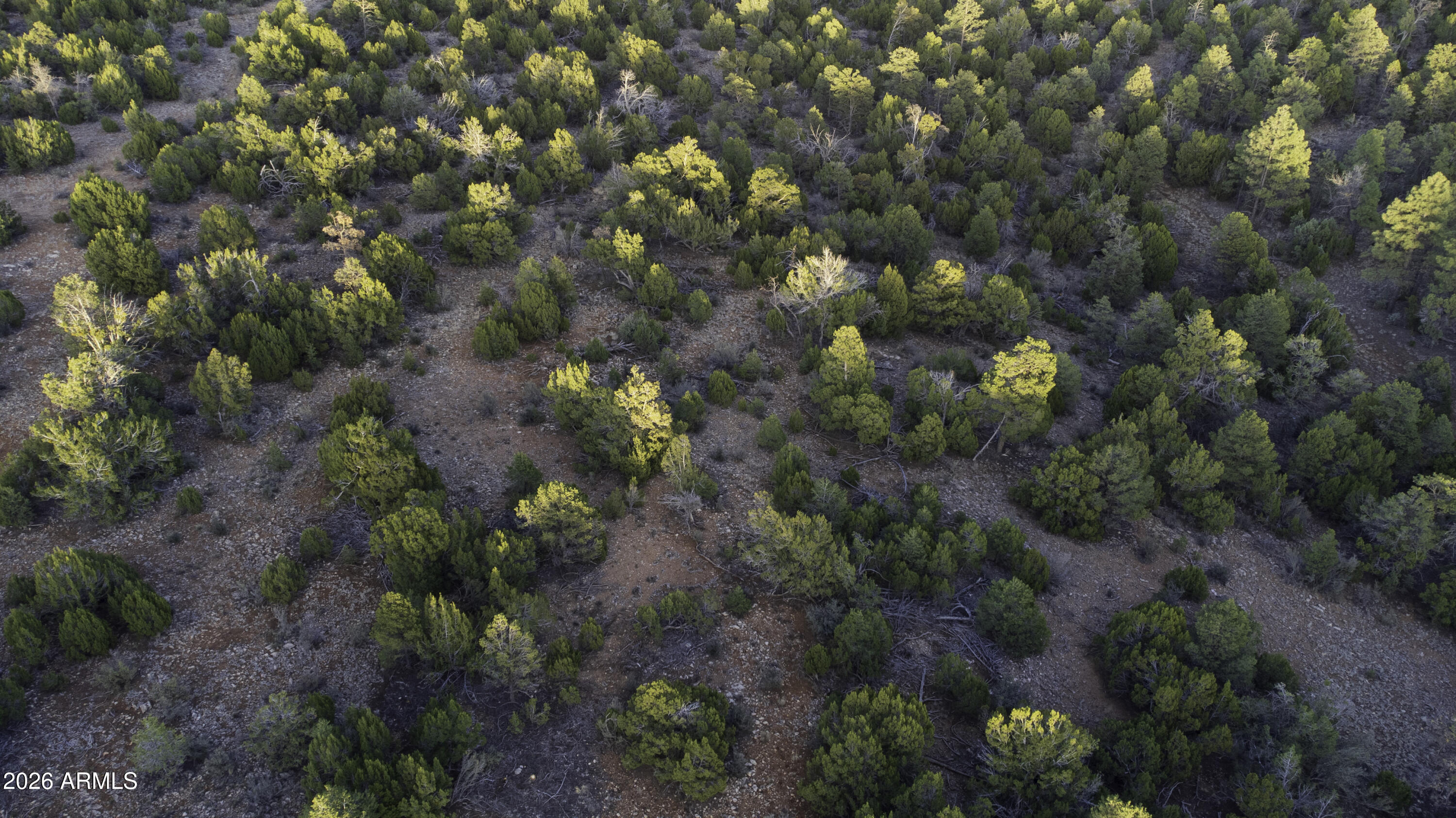 3633 Sunset Ridge Loop, Unit 166 Happy Jack, AZ 86024 - Photo 51 of 76 DJI_0474