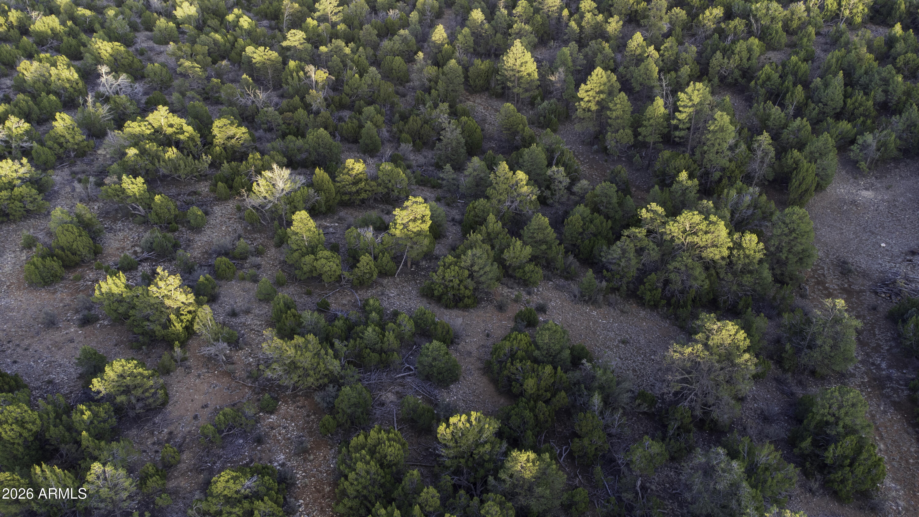 3633 Sunset Ridge Loop, Unit 166 Happy Jack, AZ 86024 - Photo 52 of 76 DJI_0475