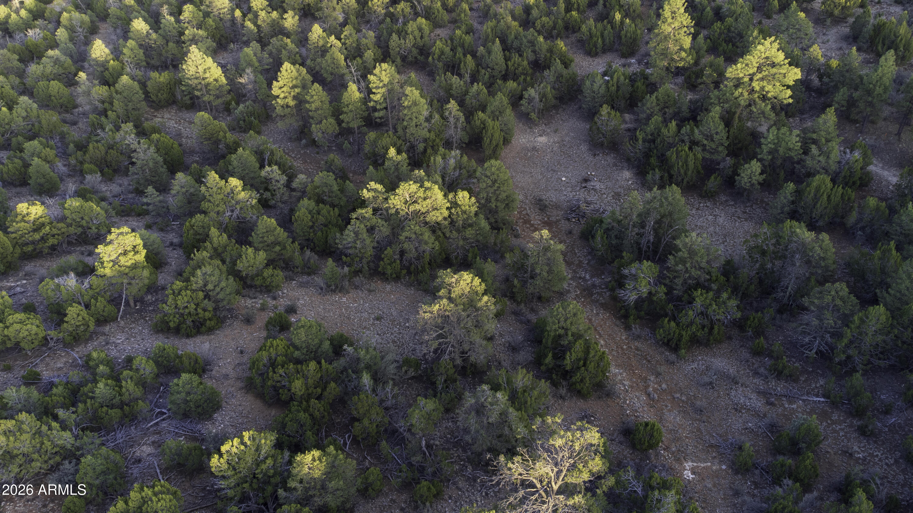 3633 Sunset Ridge Loop, Unit 166 Happy Jack, AZ 86024 - Photo 53 of 76 DJI_0476