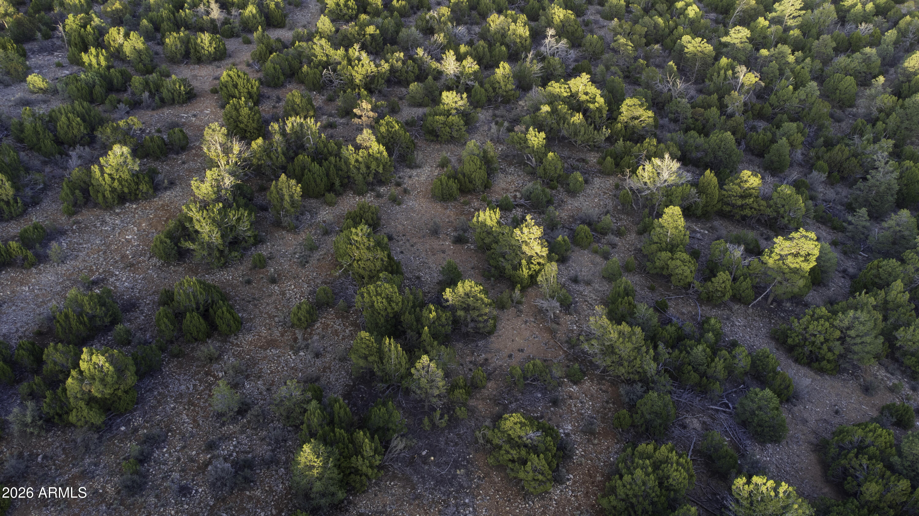 3633 Sunset Ridge Loop, Unit 166 Happy Jack, AZ 86024 - Photo 54 of 76 DJI_0477
