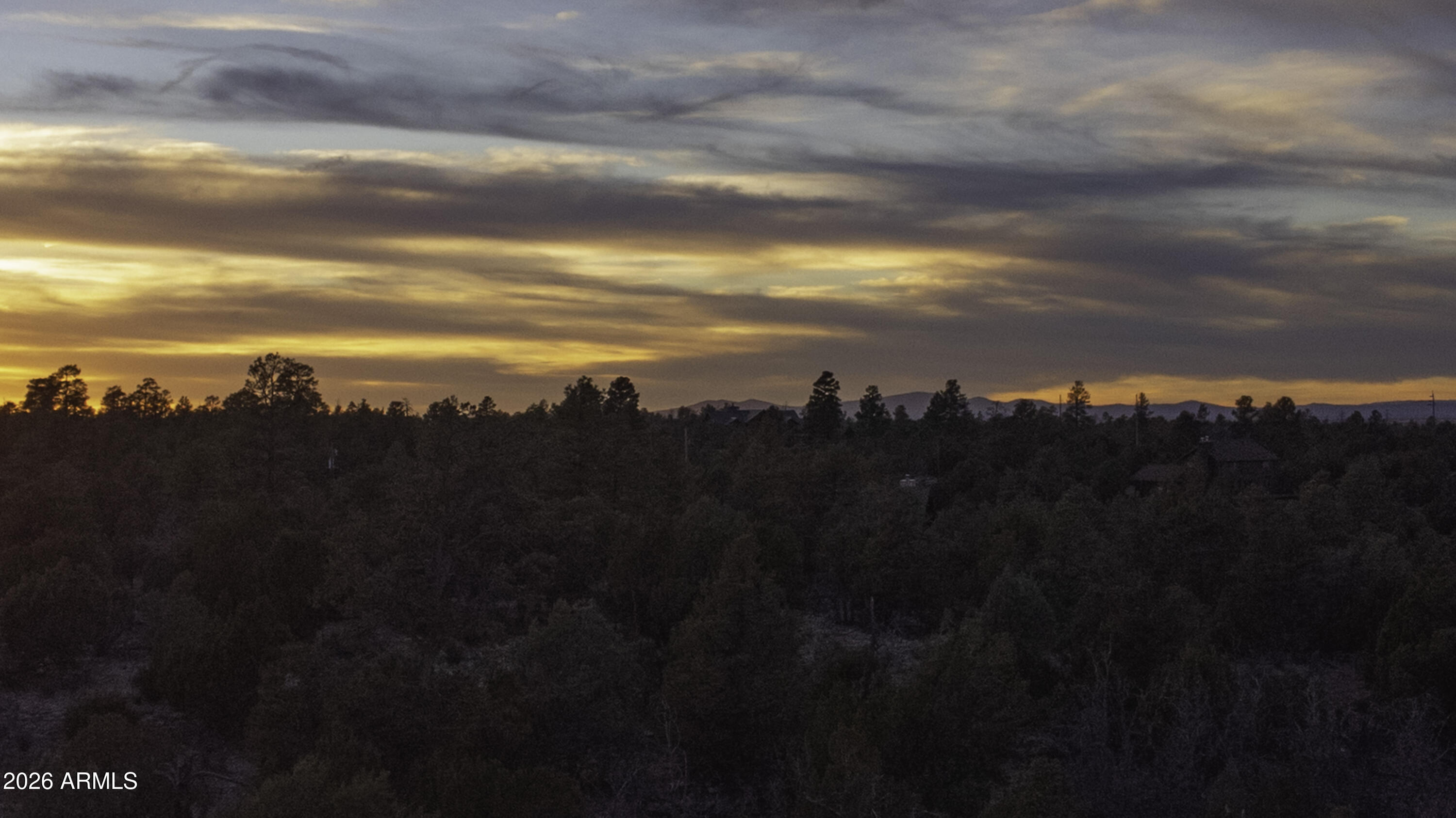 3633 Sunset Ridge Loop, Unit 166 Happy Jack, AZ 86024 - Photo 59 of 76 DJI_0483