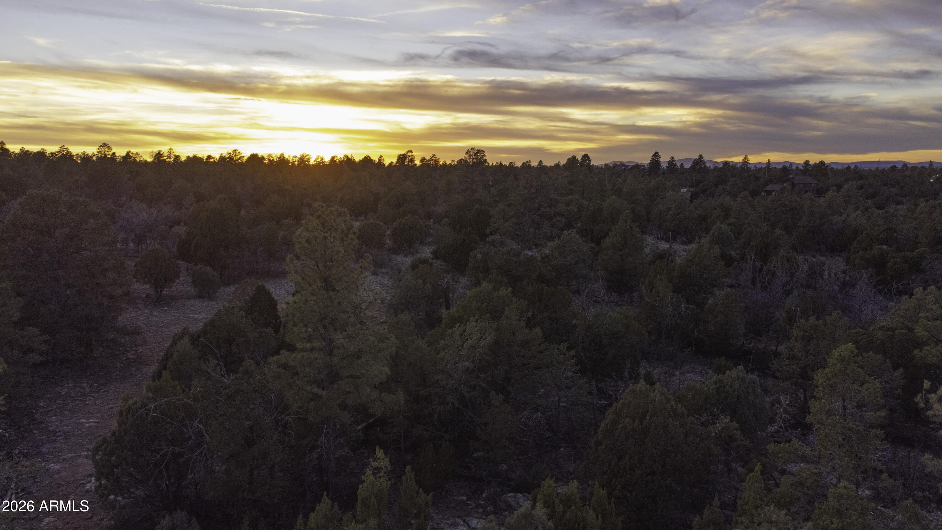 3633 Sunset Ridge Loop, Unit 166 Happy Jack, AZ 86024 - Photo 60 of 76 DJI_0484