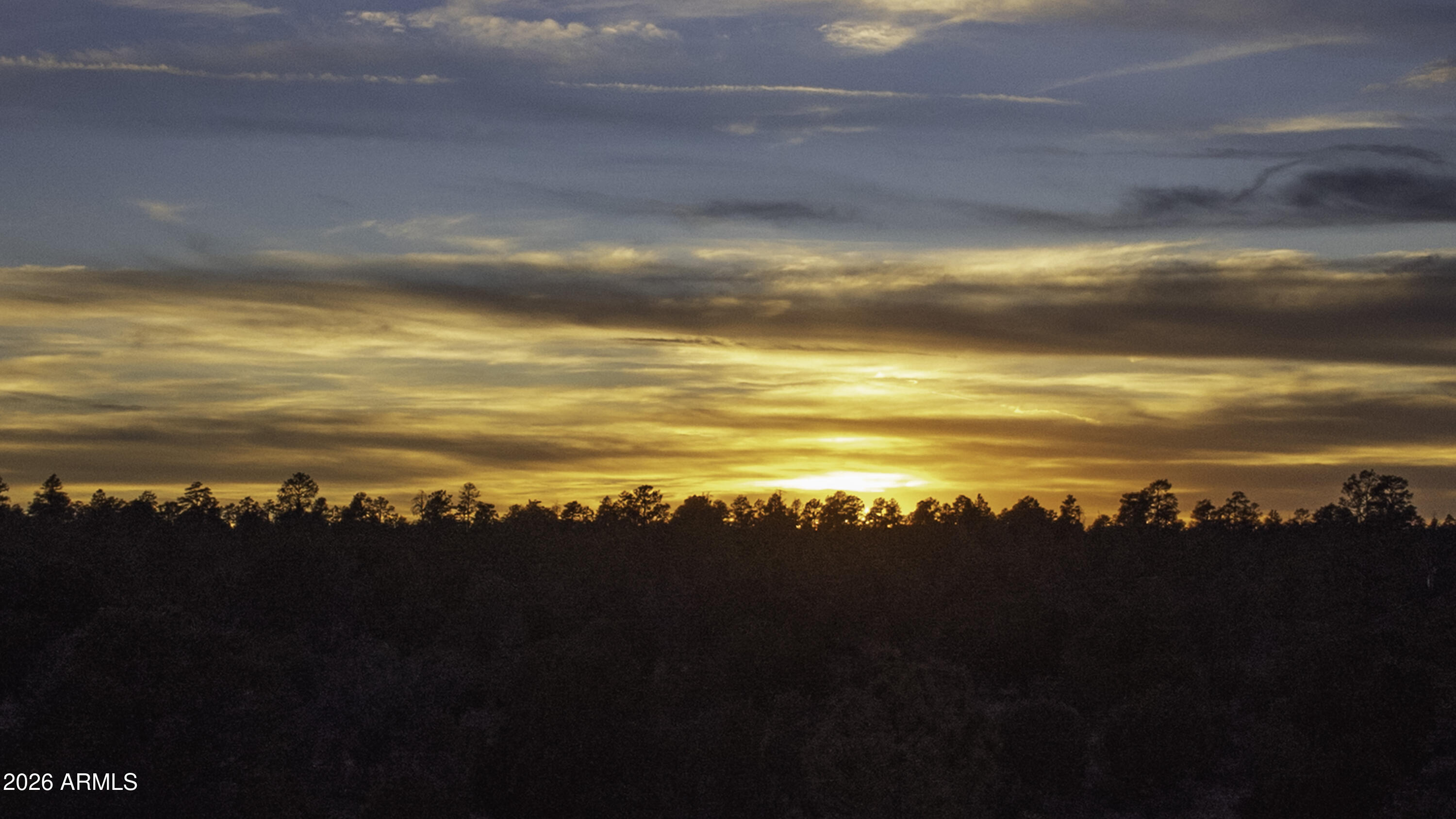 3633 Sunset Ridge Loop, Unit 166 Happy Jack, AZ 86024 - Photo 61 of 76 DJI_0485