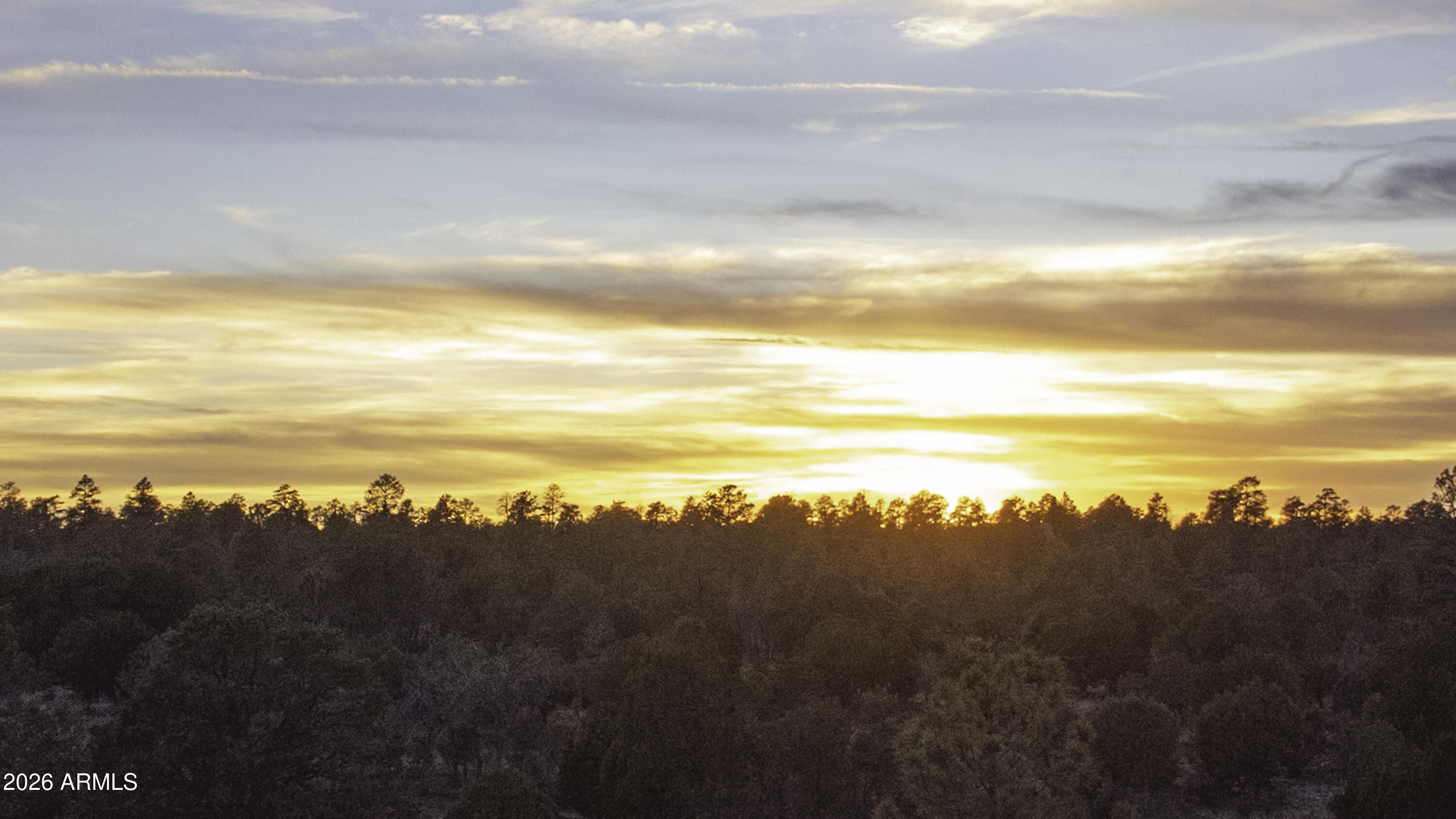 3633 Sunset Ridge Loop, Unit 166 Happy Jack, AZ 86024 - Photo 62 of 76 DJI_0486