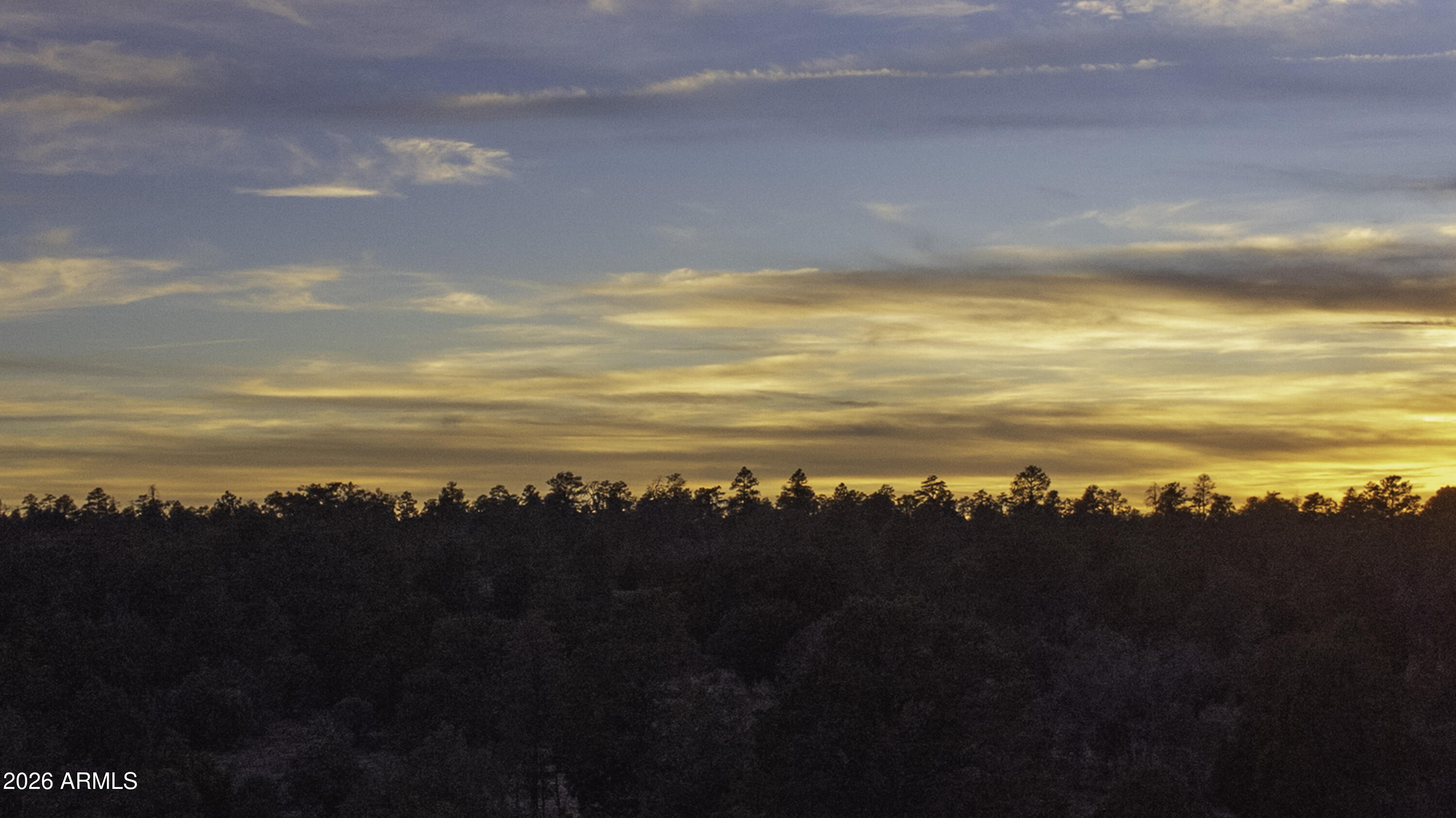 3633 Sunset Ridge Loop, Unit 166 Happy Jack, AZ 86024 - Photo 63 of 76 DJI_0487