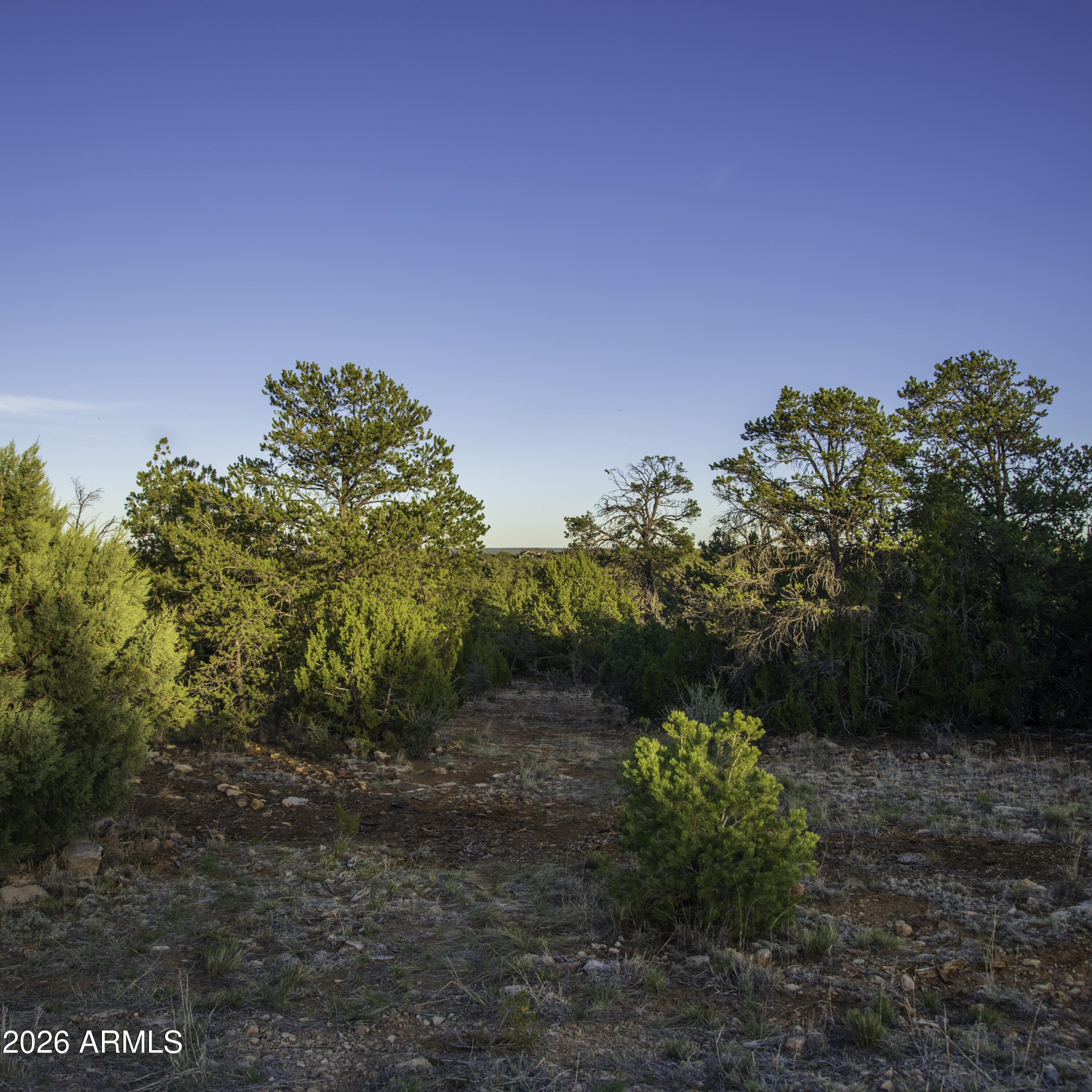 3633 Sunset Ridge Loop, Unit 166 Happy Jack, AZ 86024 - Photo 7 of 76 _8508242