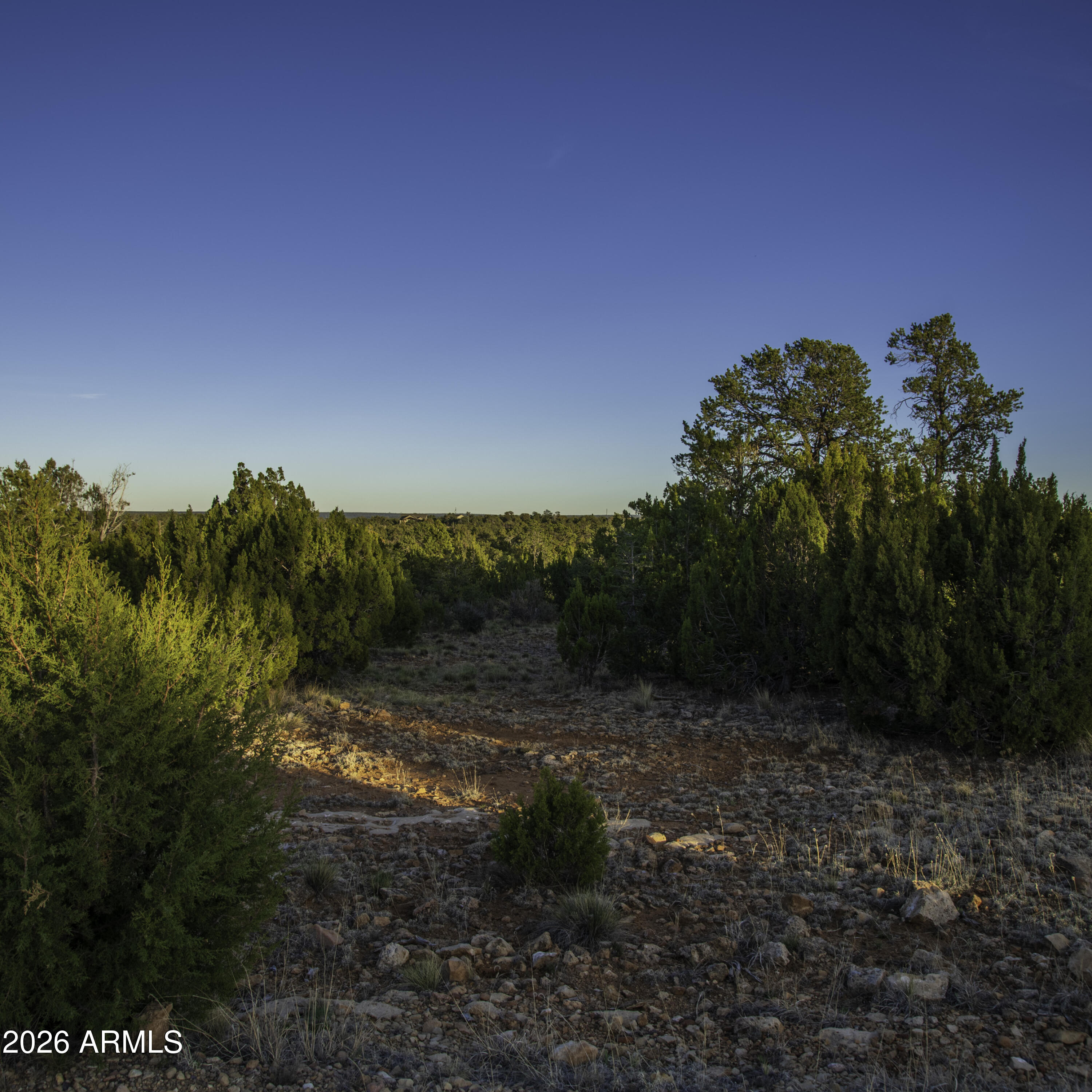 3633 Sunset Ridge Loop, Unit 166 Happy Jack, AZ 86024 - Photo 8 of 76 _8508243