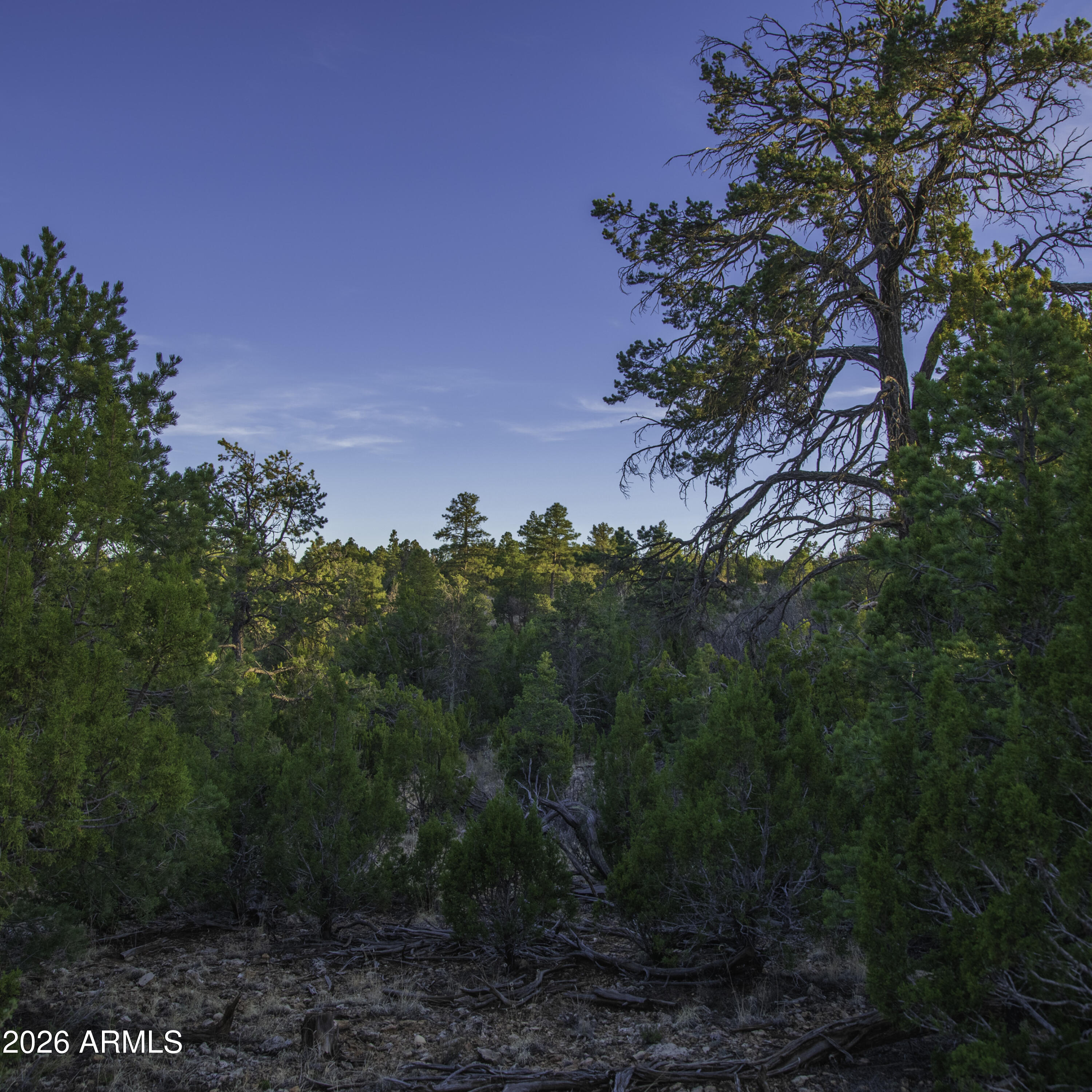 3633 Sunset Ridge Loop, Unit 166 Happy Jack, AZ 86024 - Photo 9 of 76 _8508244