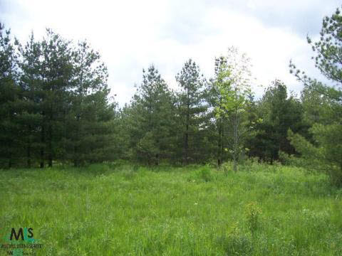0 Kelch Road Fruitport, MI 49415 - Photo 1 of 4 903638.JPG
