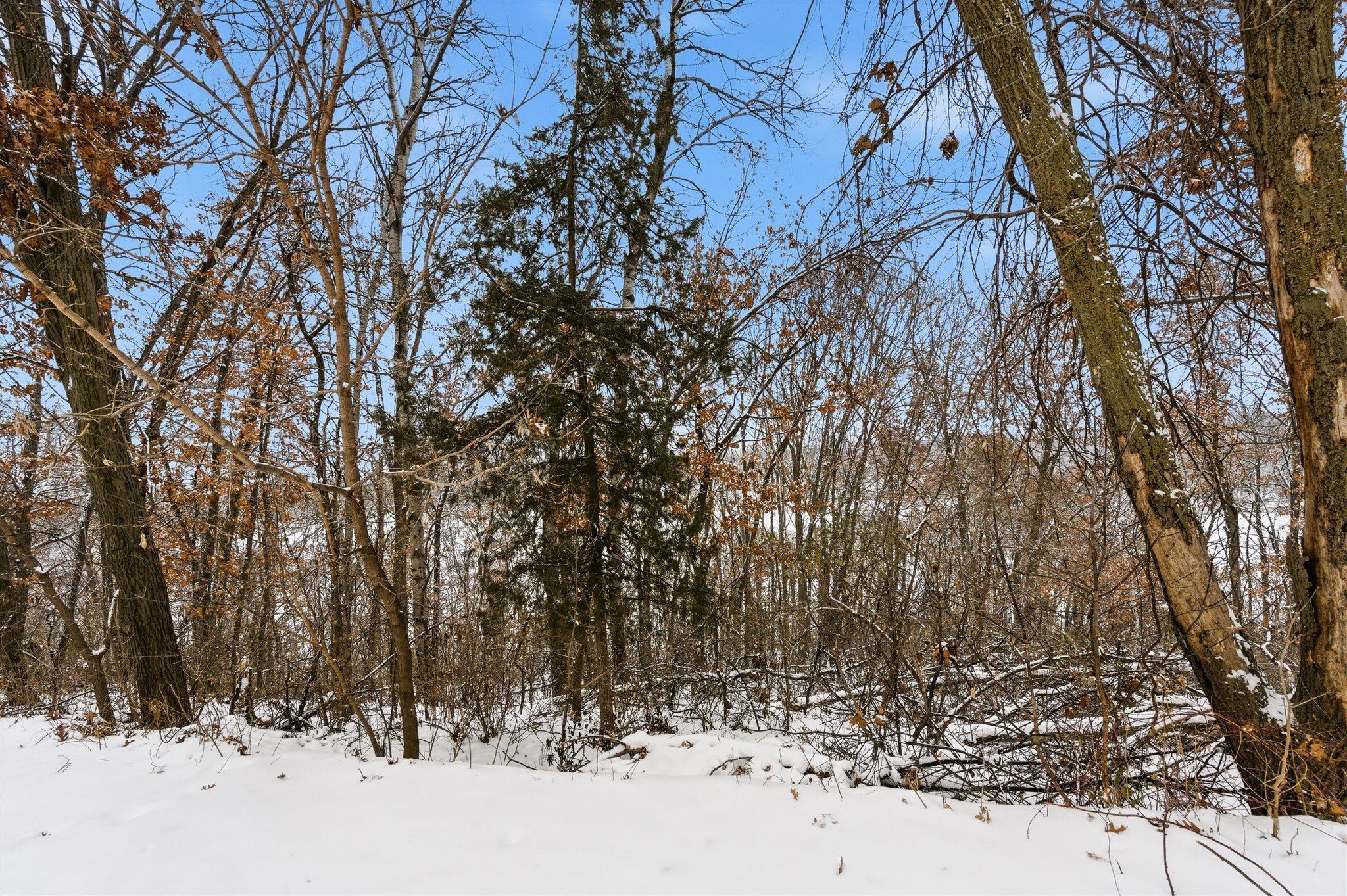 1325 Driving Park Road Stillwater, MN 55082 - Photo 9 of 46