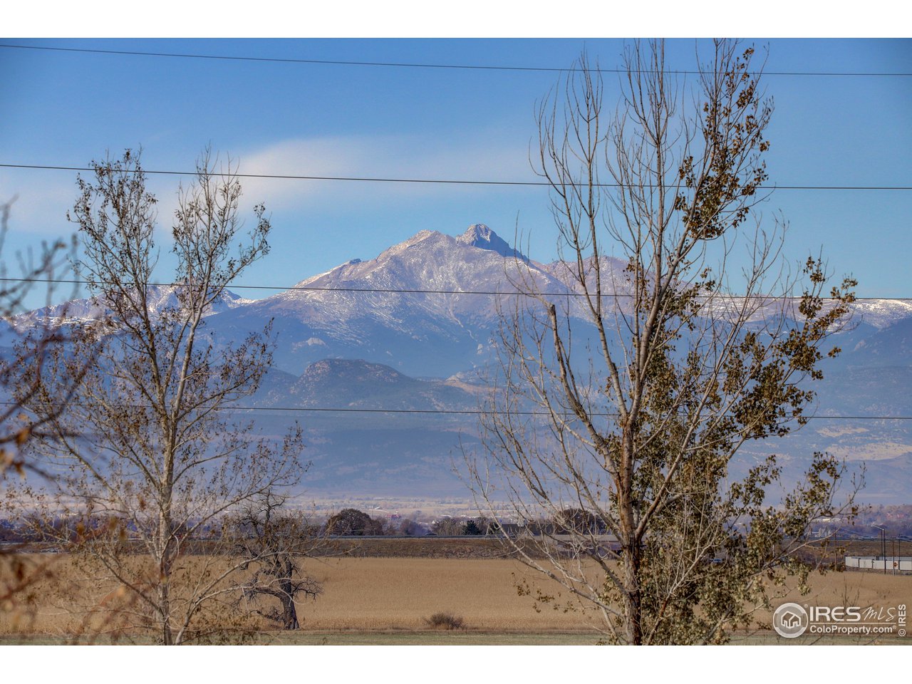 5403 Bobcat Street Frederick, CO 80504 - Photo 33 of 40 a view of a backyard