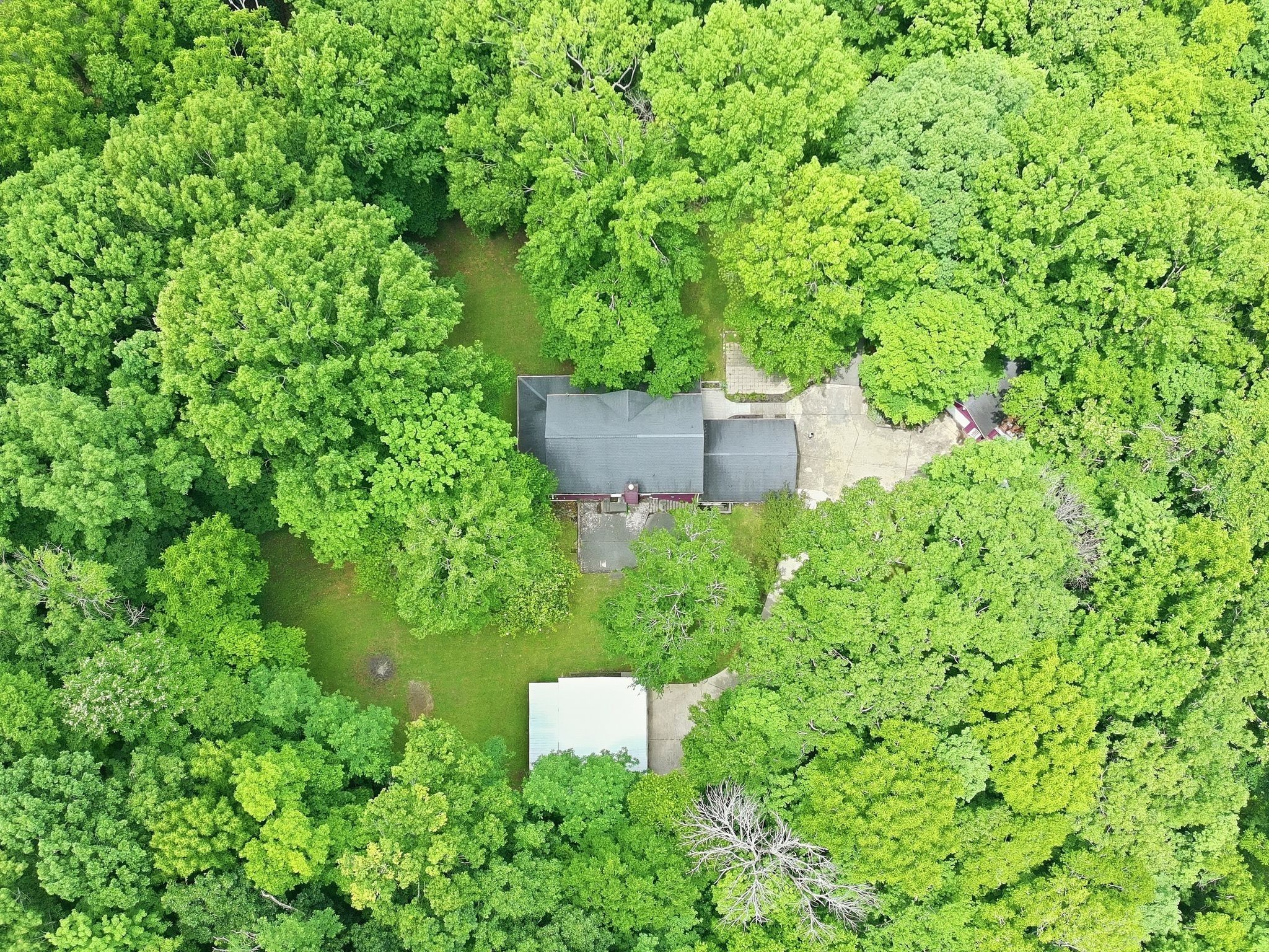 867 Mt Olivet Road Columbia, TN 38401 - Photo 65 of 71 Gallery Image 65