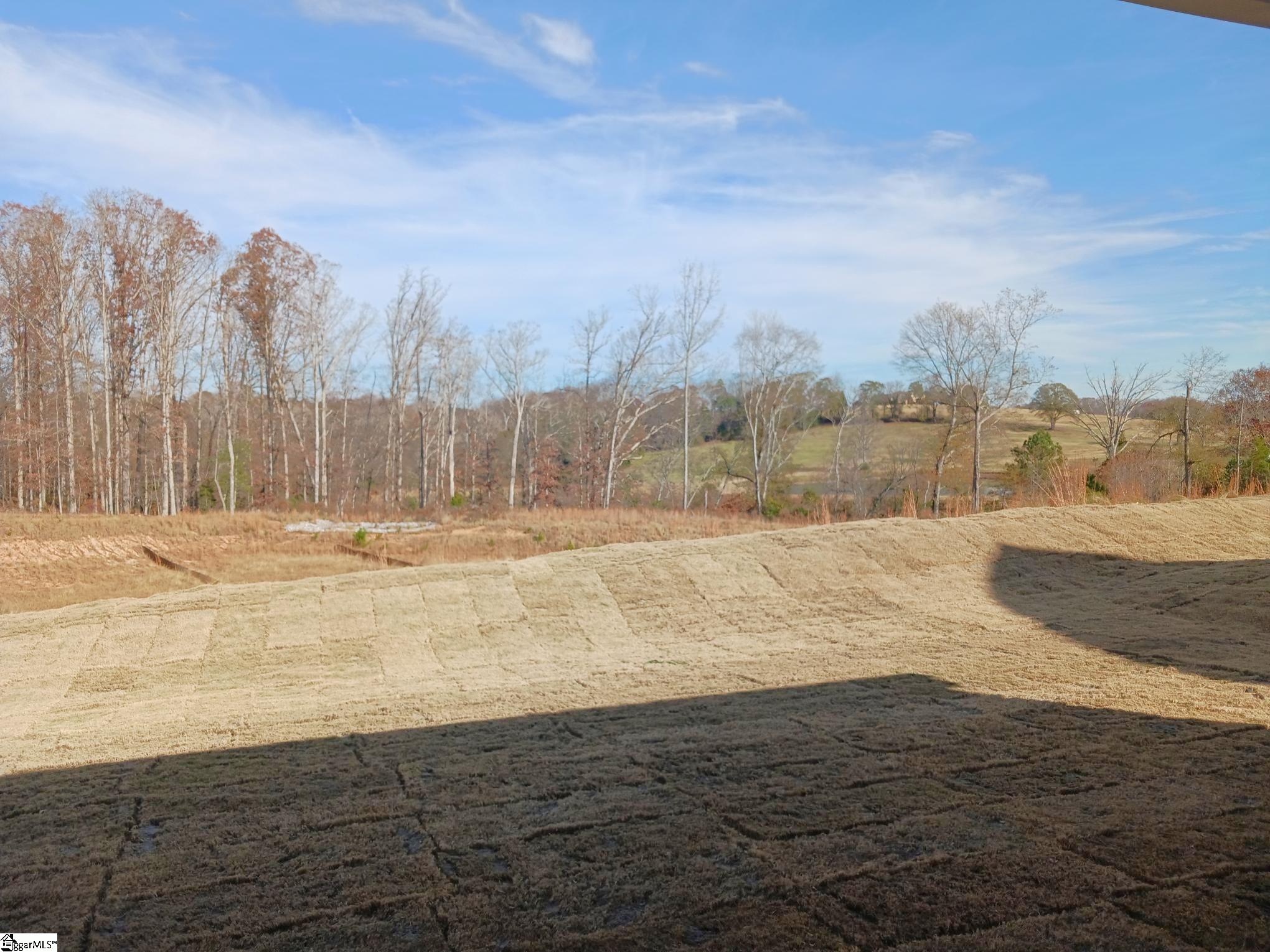 445 Haddon Trail Woodruff, SC 29388 - Photo 21 of 22