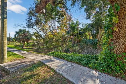 a view of a yard with plants