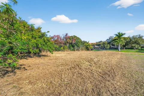 a view of a garden