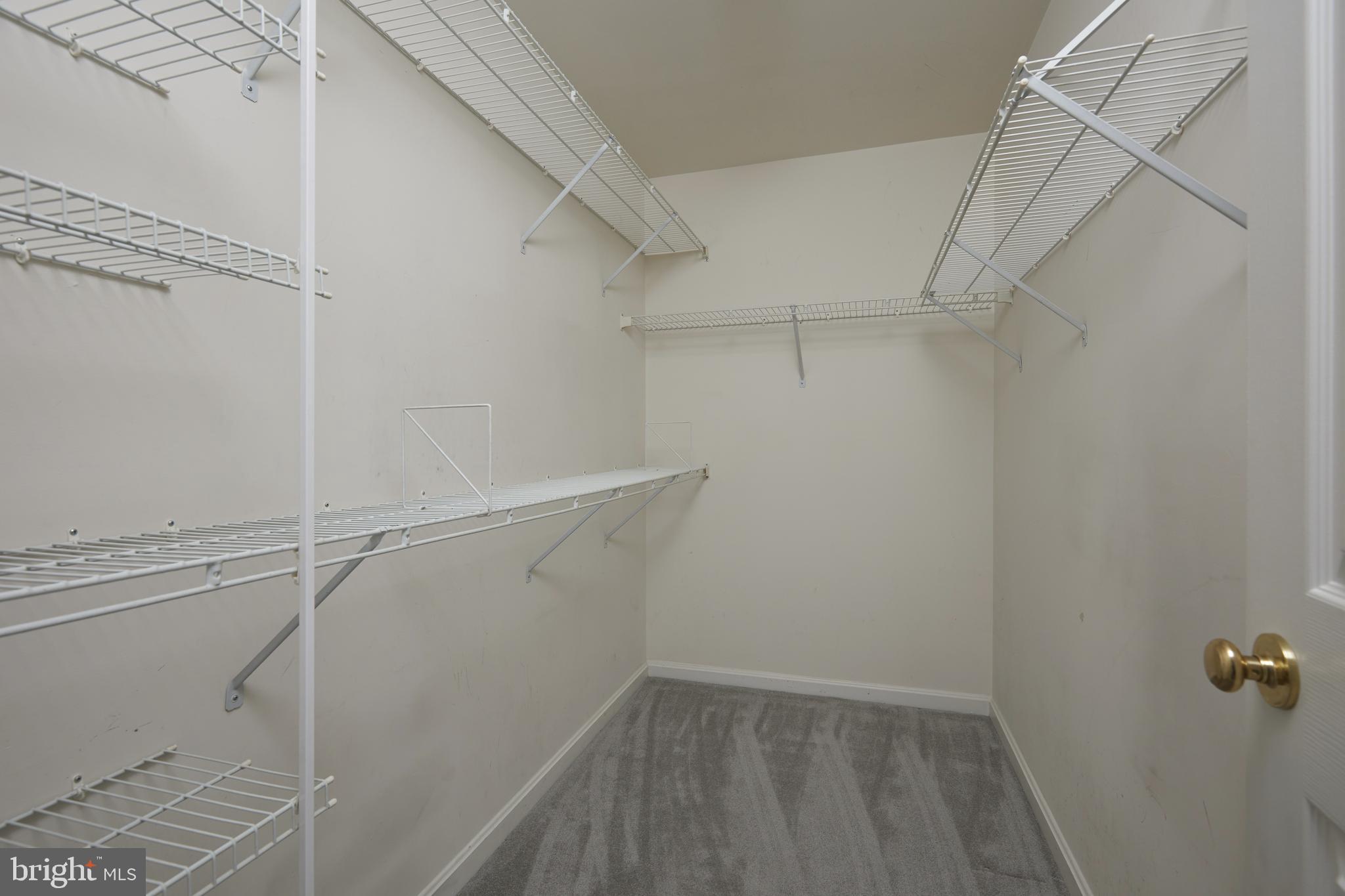 13109 Millhaven Place Germantown, MD 20874 - Photo 13 of 34 Primary Bedroom - Closet