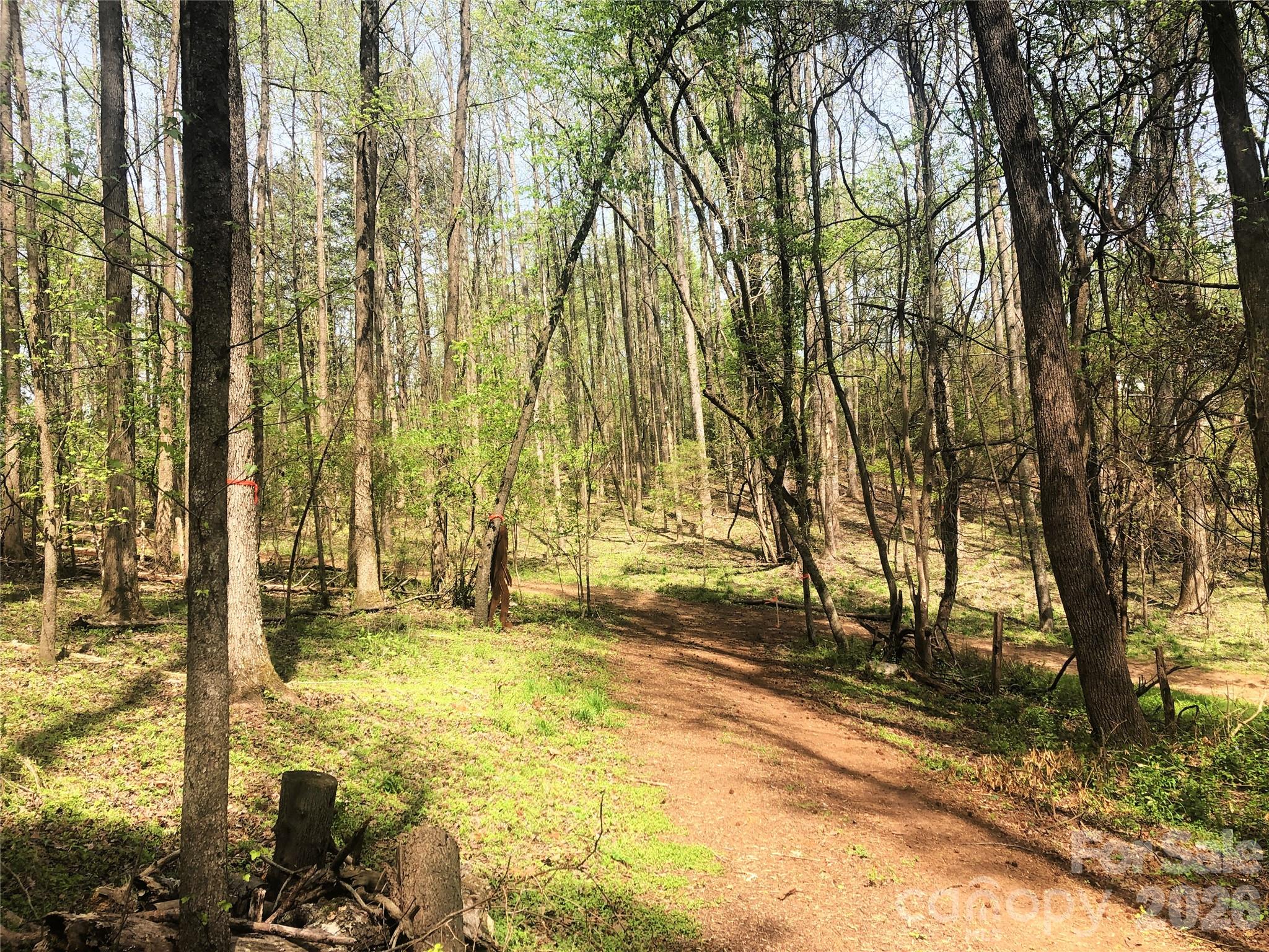 0 River Road Tryon, NC 28782 - Photo 28 of 30