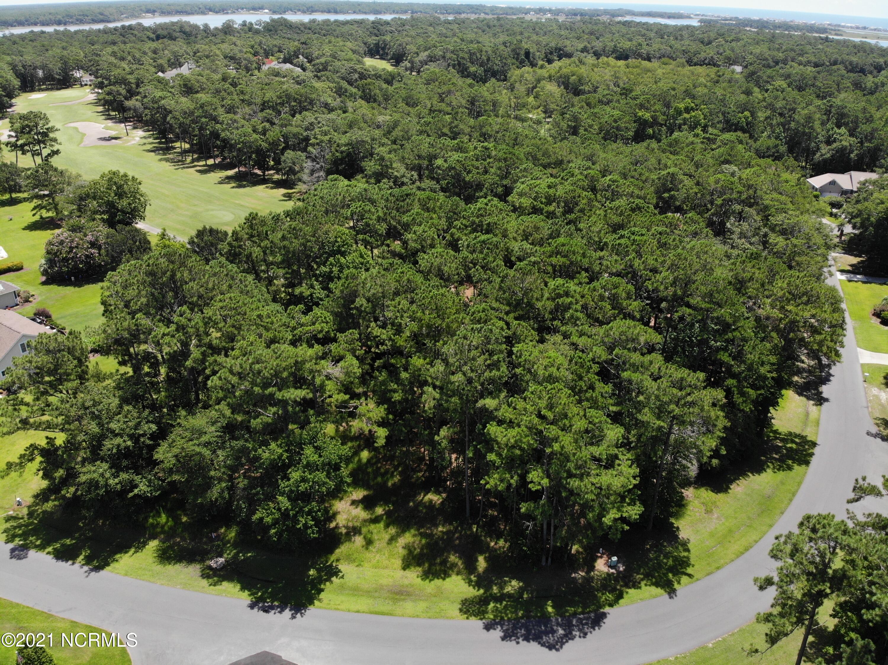 511 Genoe's Point Road Southwest Supply, NC 28462 - Photo 3 of 17 Aerial view 1
