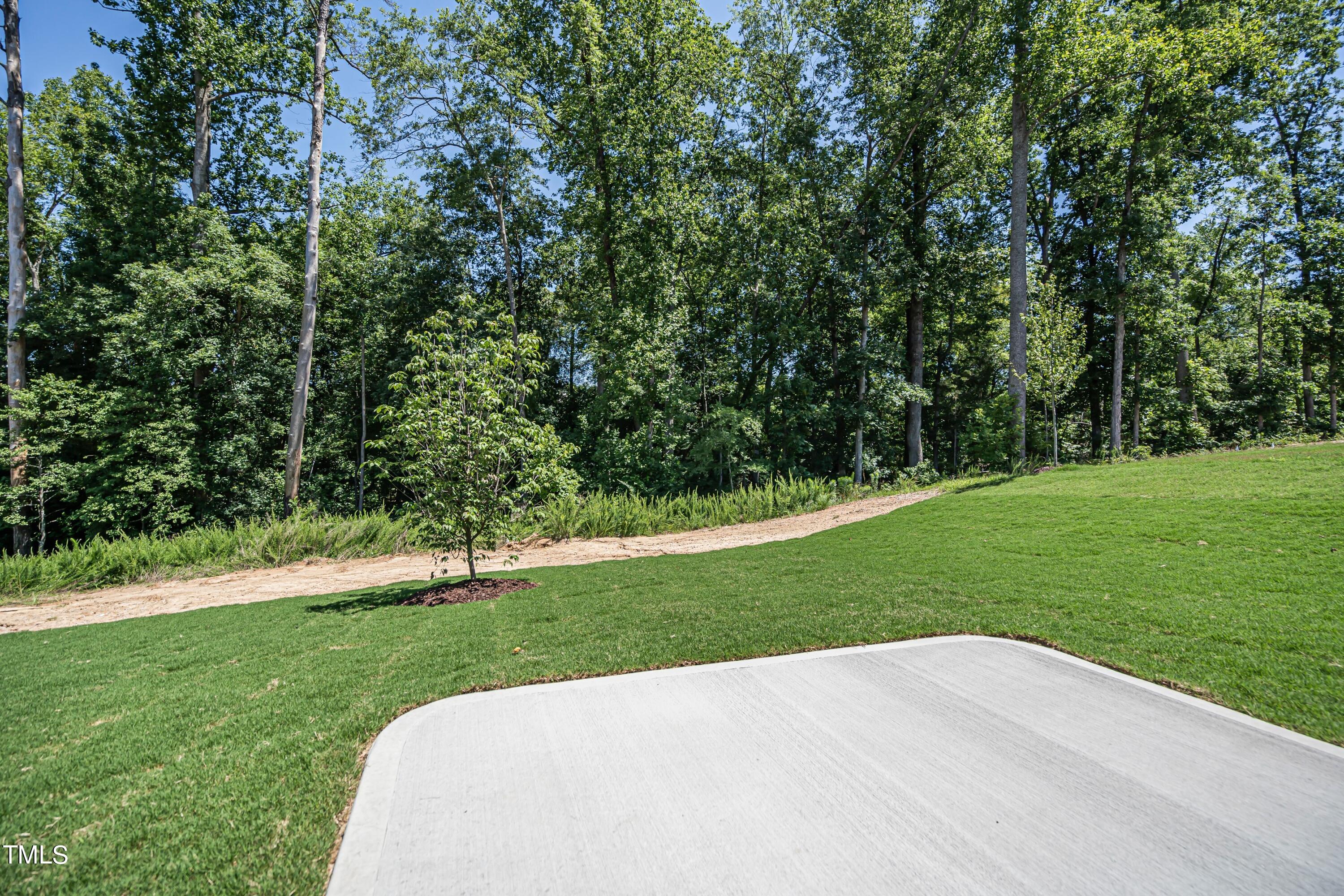 1687 Terry Road Durham, NC 27712 - Photo 26 of 29 027_Back Yard