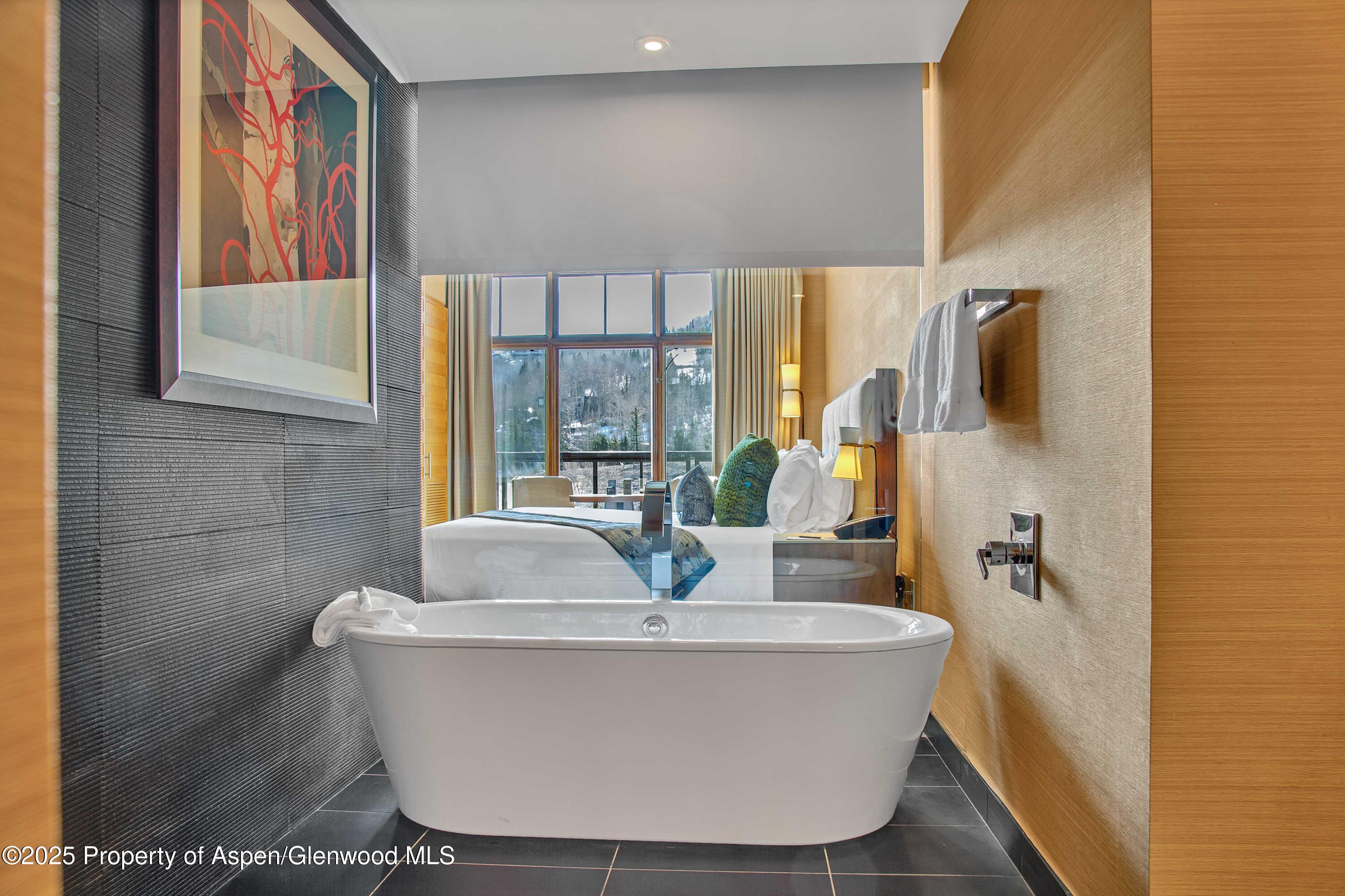 130 Wood Road, Unit 736 Snowmass Village, CO 81615 - Photo 12 of 15 F09A1419